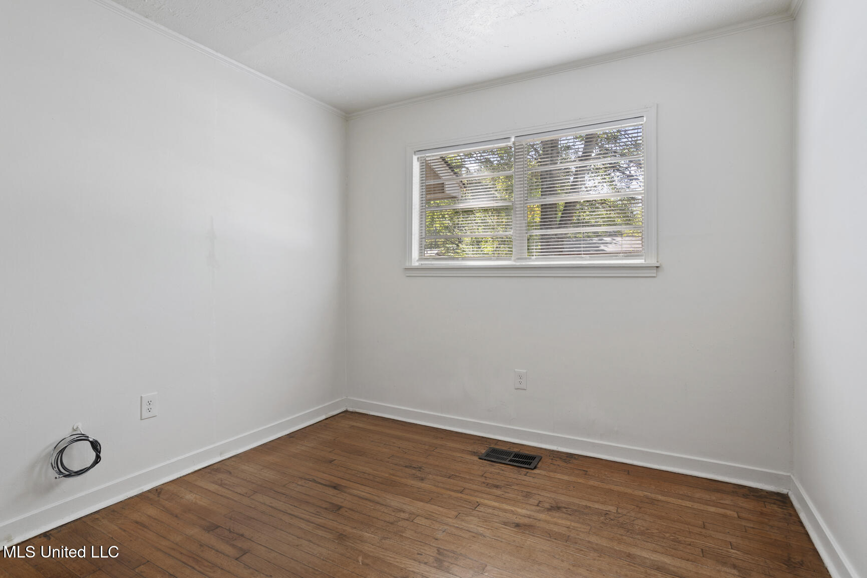 4162 Dearing Street Property Photo 14