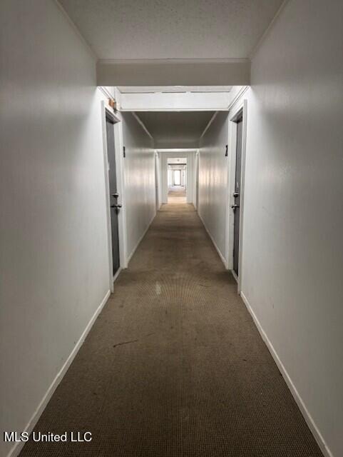 2823 Bienville Boulevard Property Photo 6