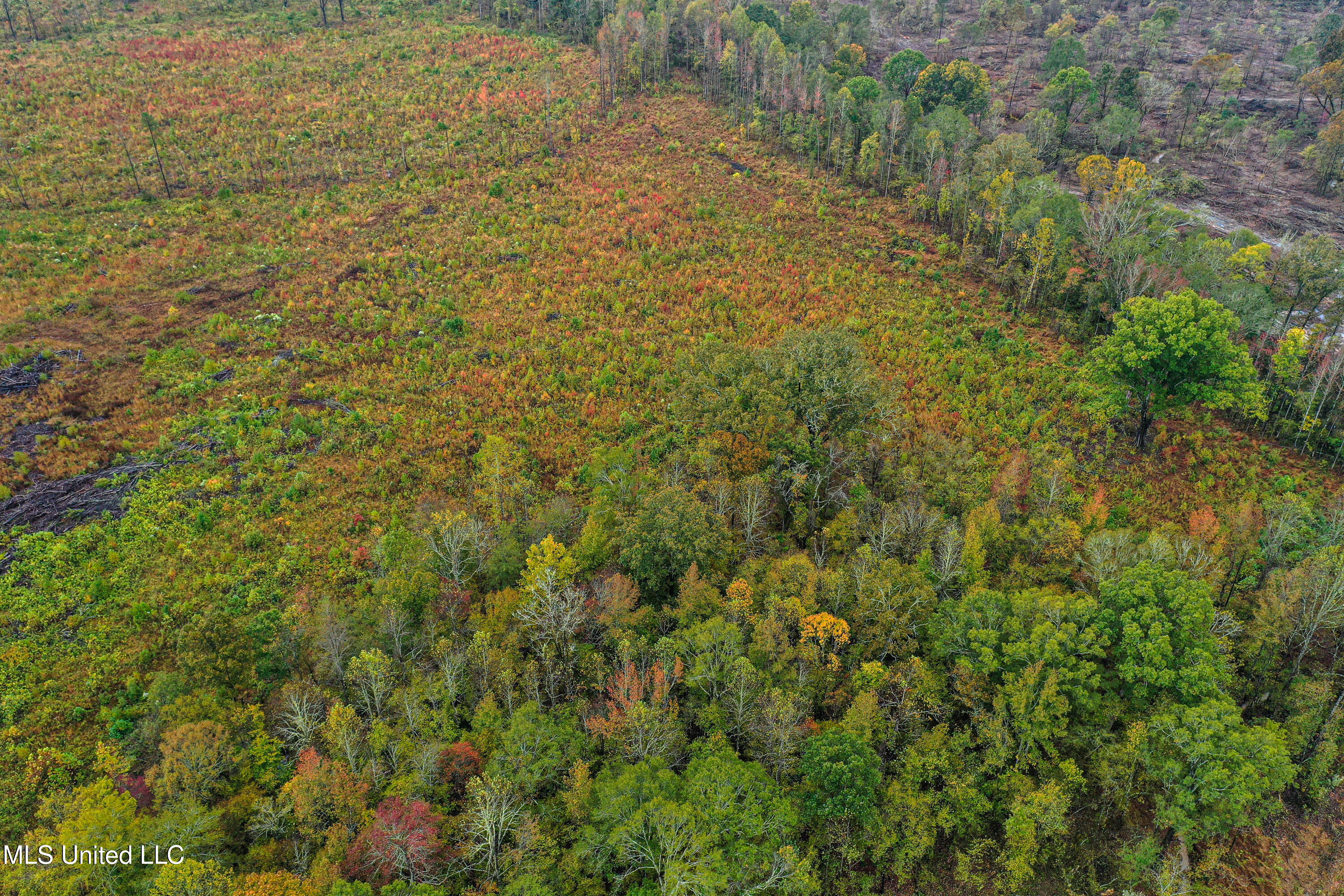 01 Alva Road Property Photo 9