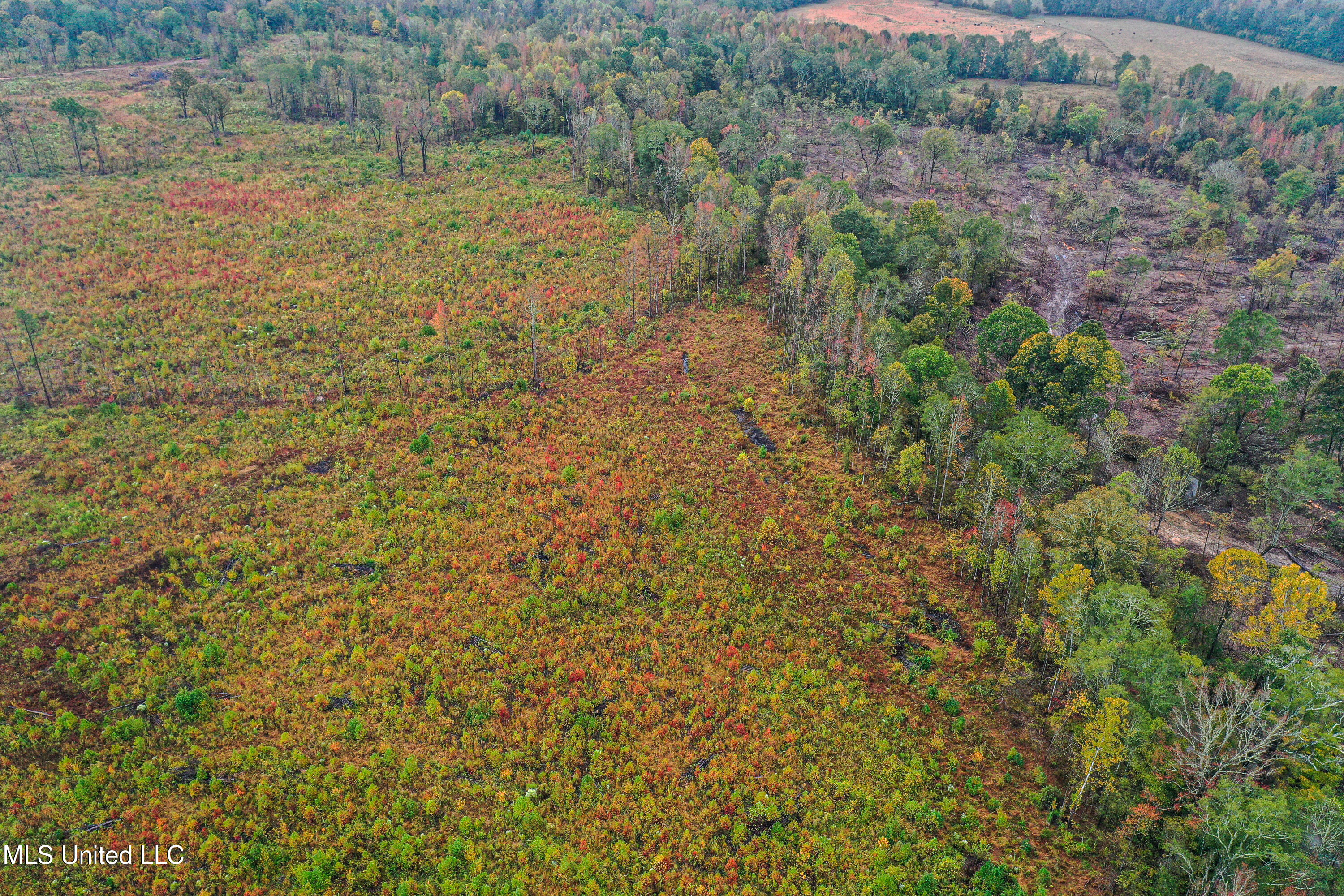 01 Alva Road Property Photo 10