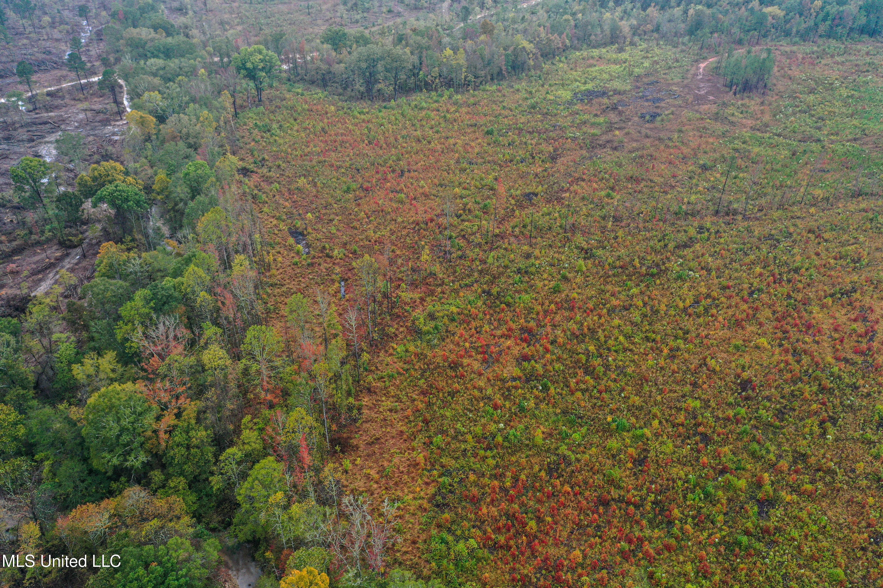 01 Alva Road Property Photo 14