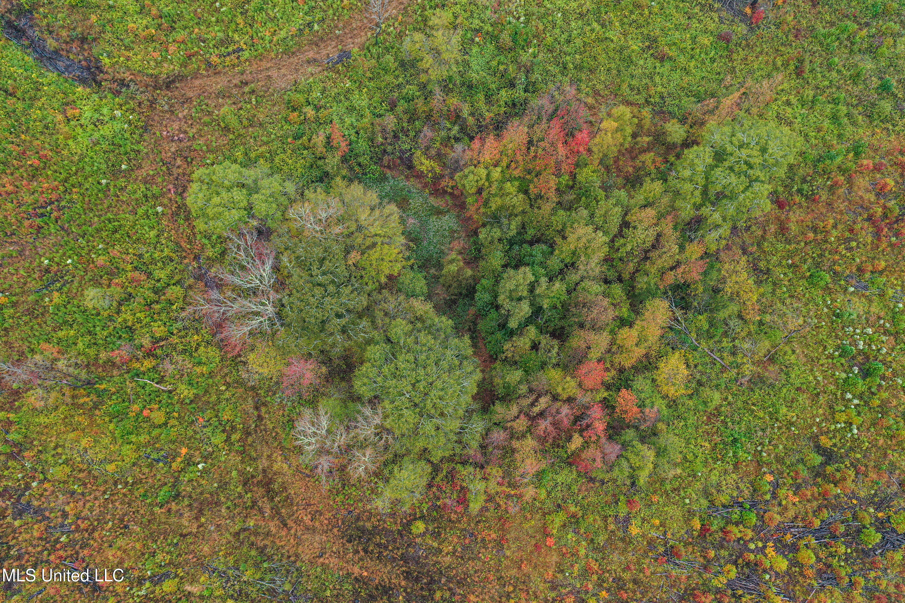 01 Alva Road Property Photo 15