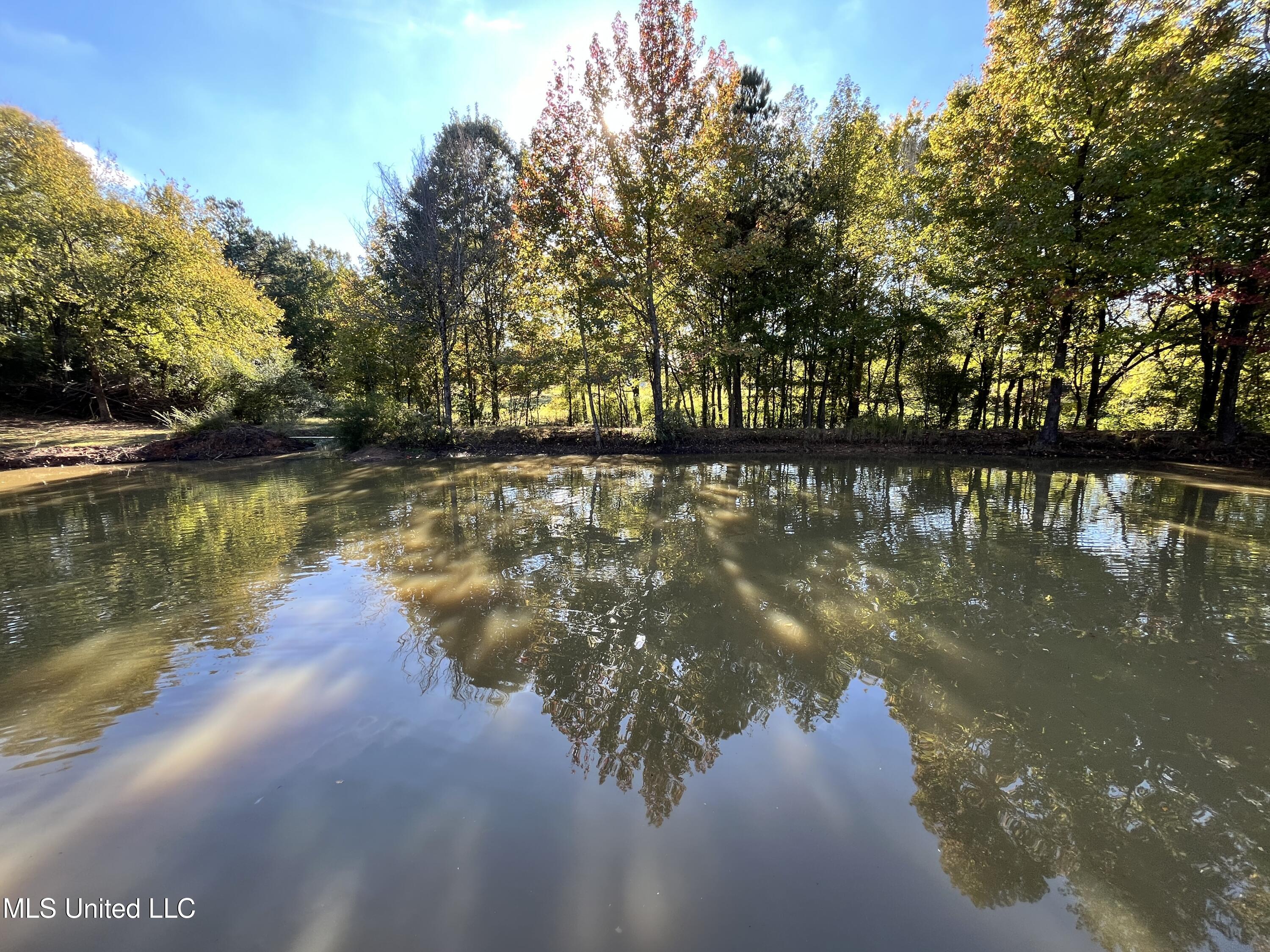 5816 N Rolling Pine Drive Property Photo 51