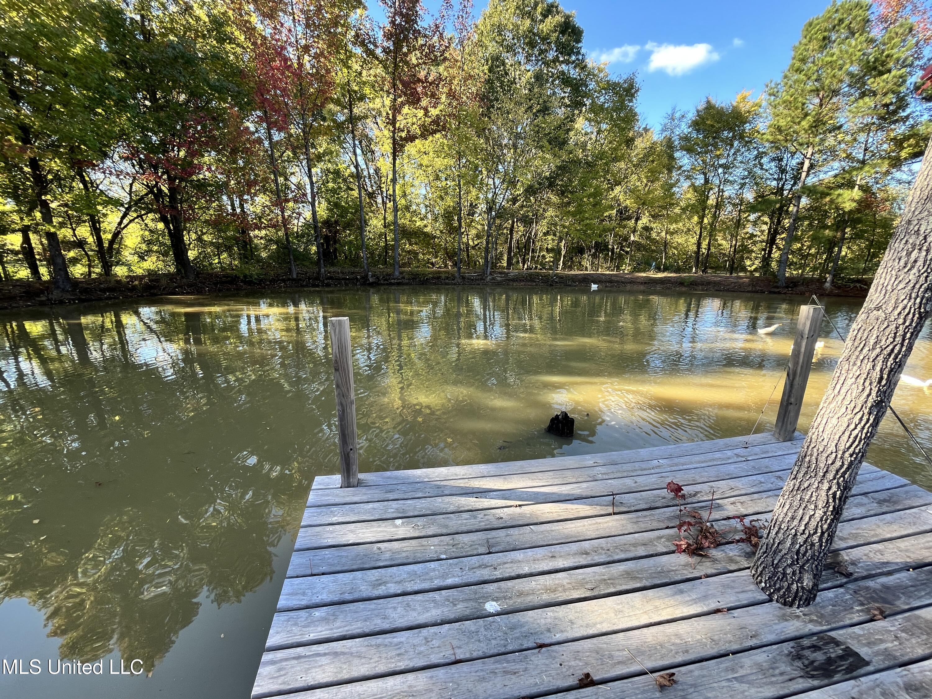 5816 N Rolling Pine Drive Property Photo 52