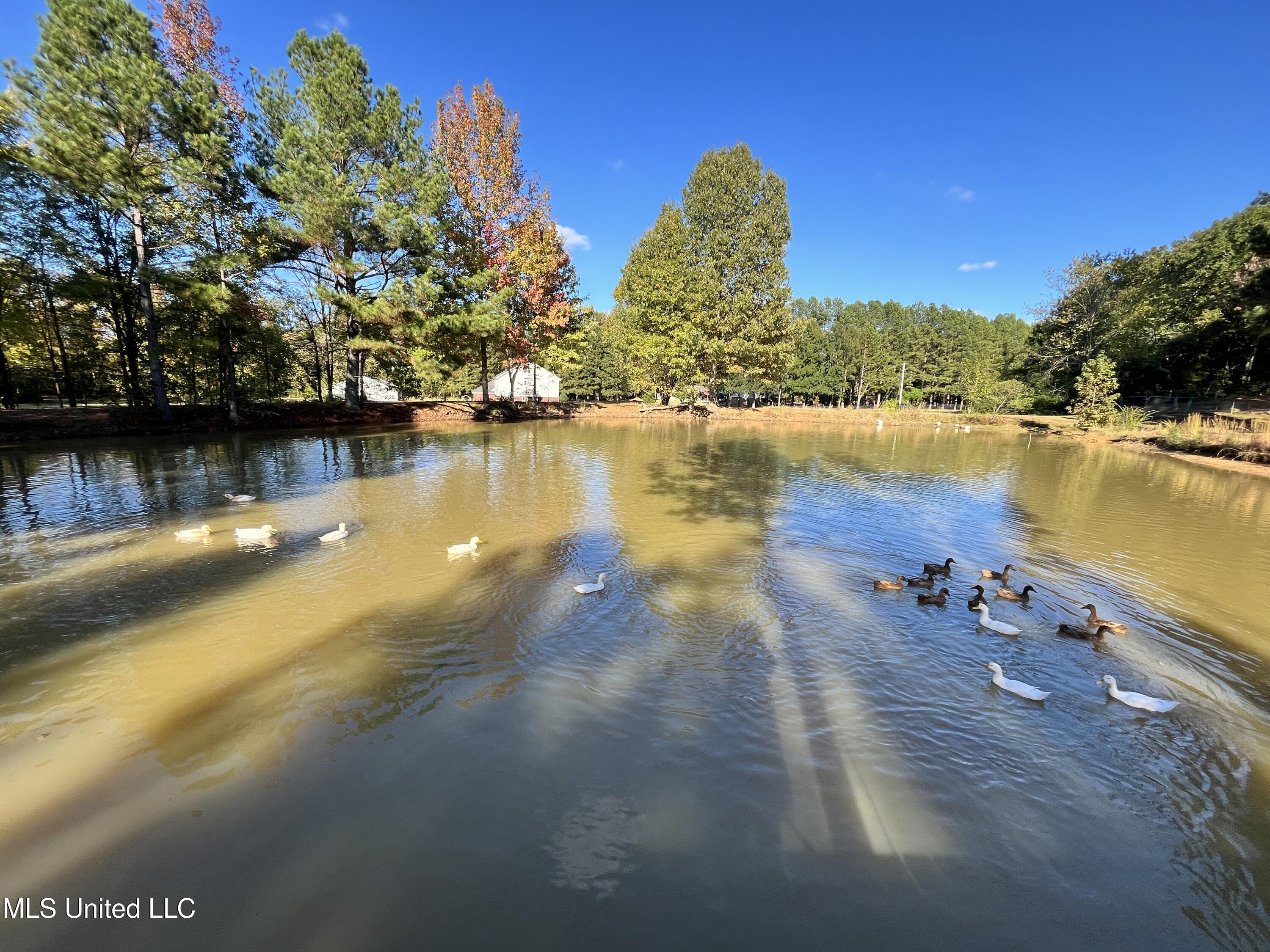 5816 N Rolling Pine Drive Property Photo 53
