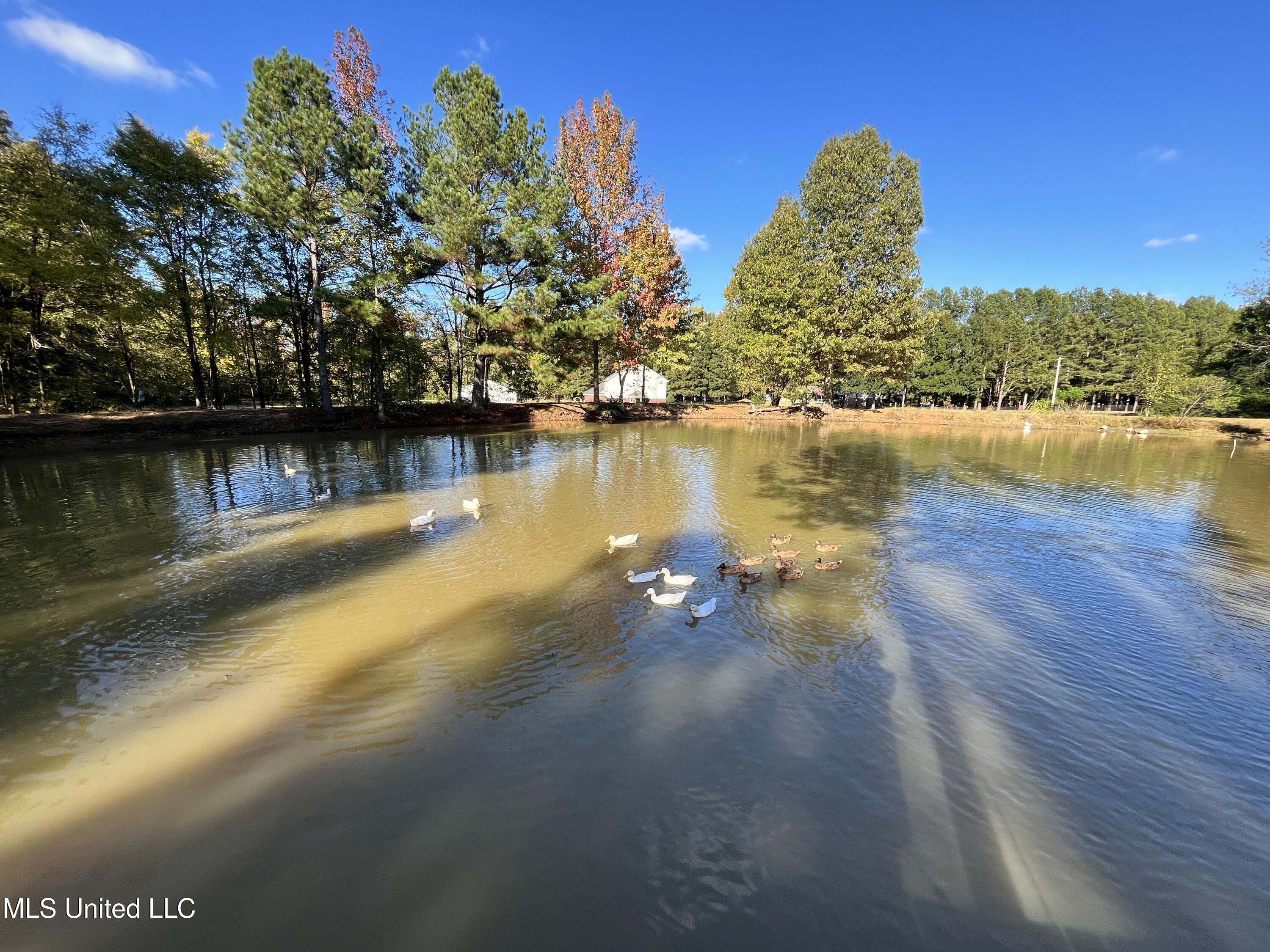5816 N Rolling Pine Drive Property Photo 54