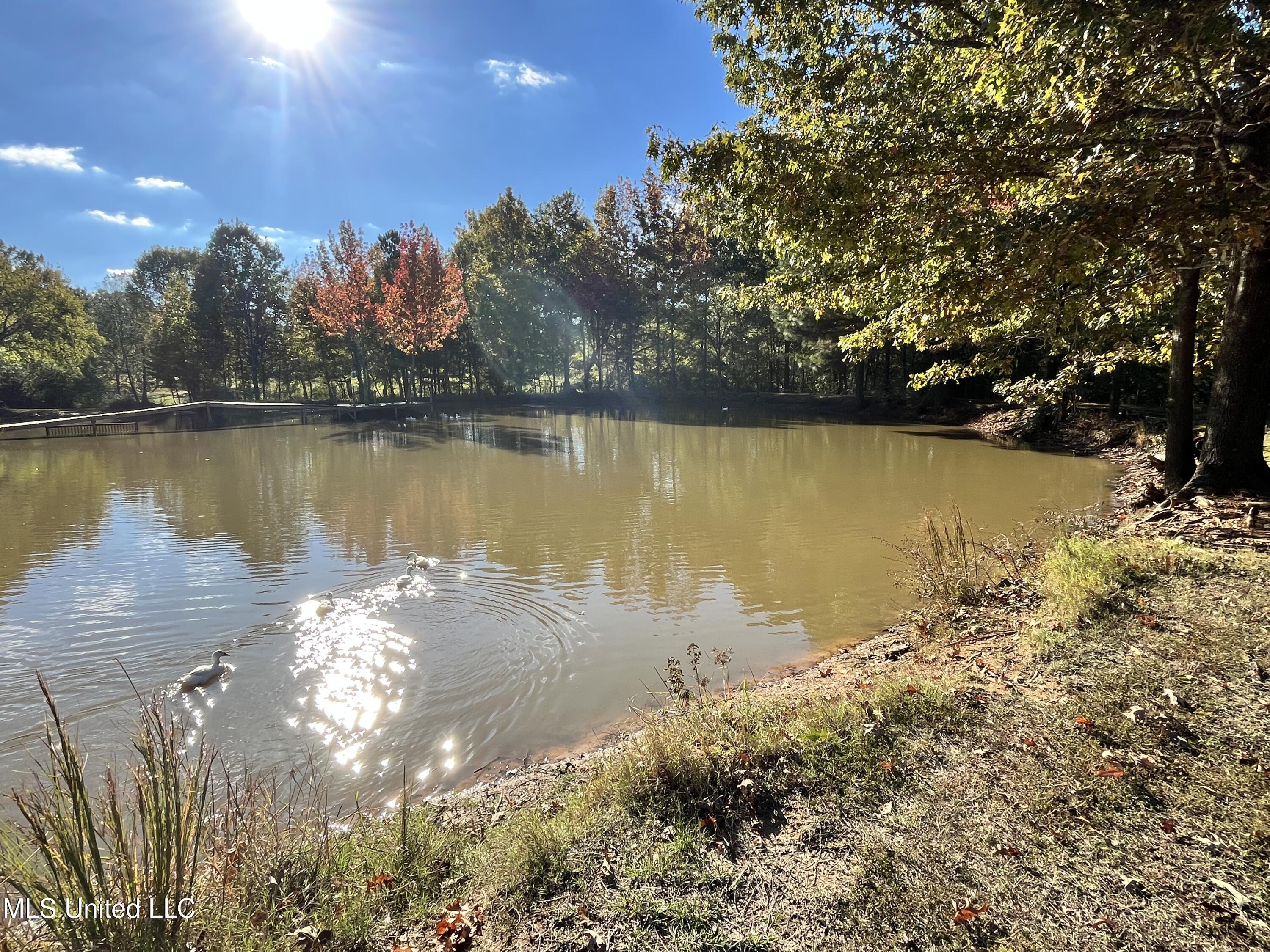 5816 N Rolling Pine Drive Property Photo 56