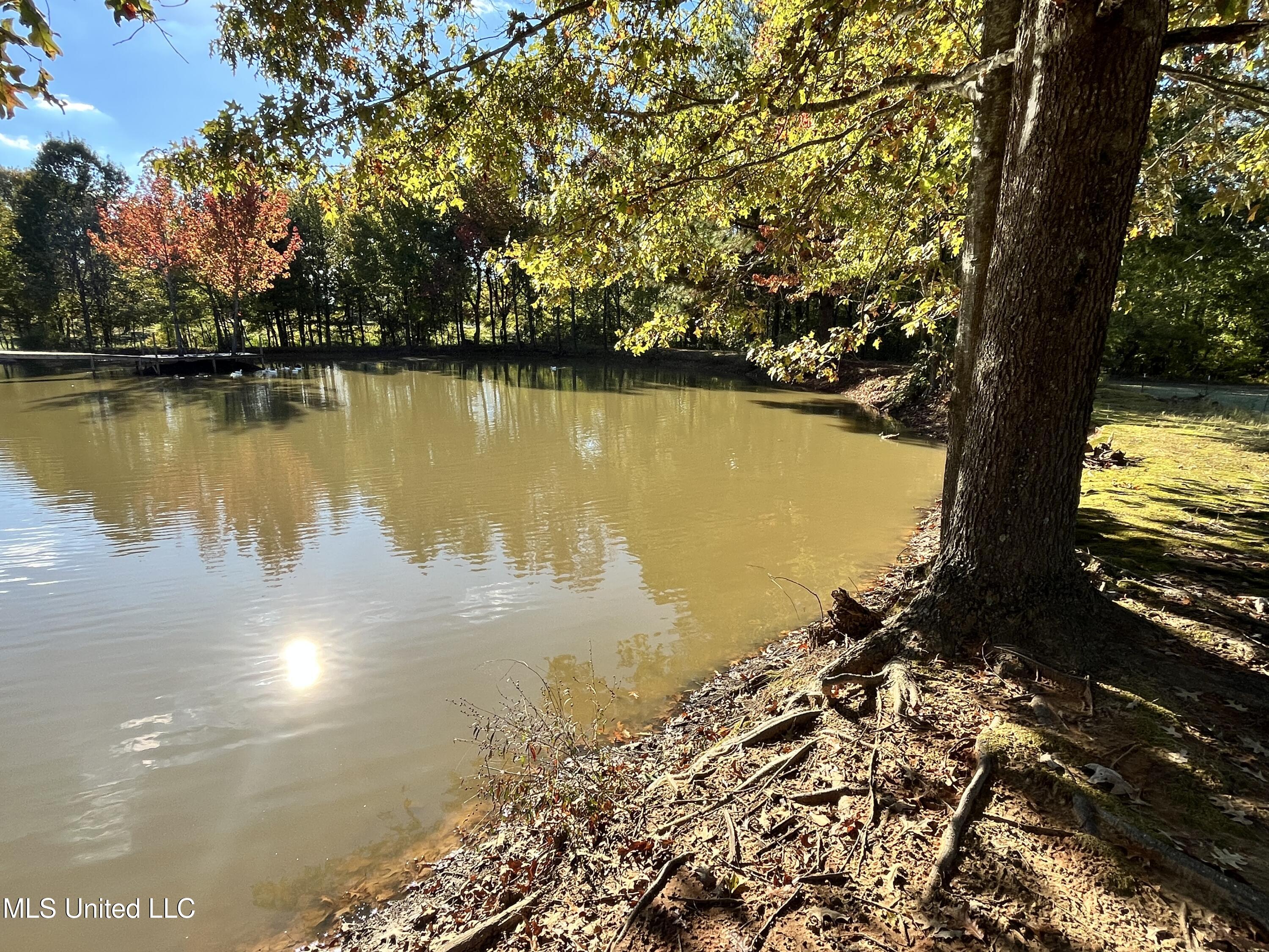5816 N Rolling Pine Drive Property Photo 57