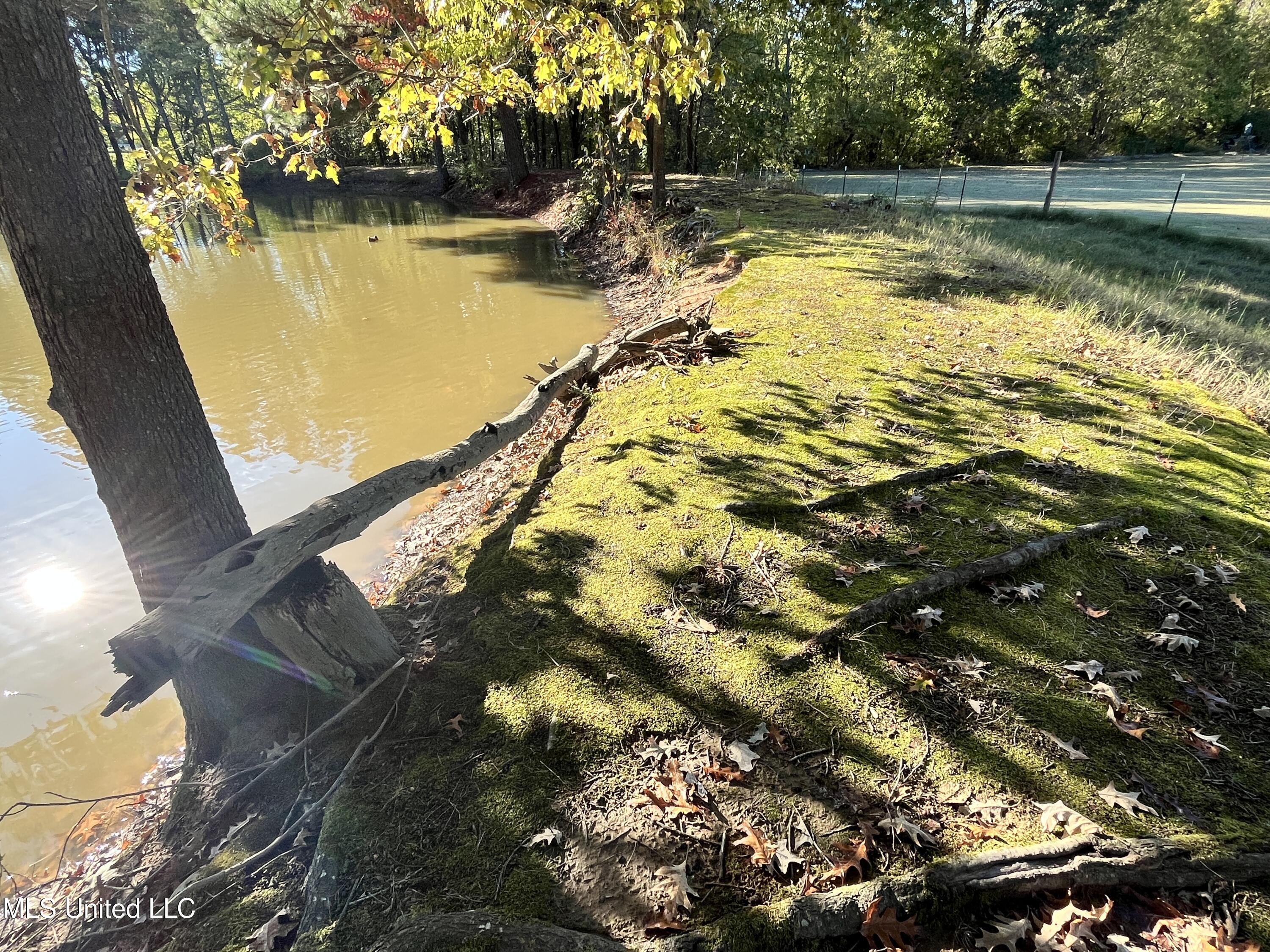 5816 N Rolling Pine Drive Property Photo 59