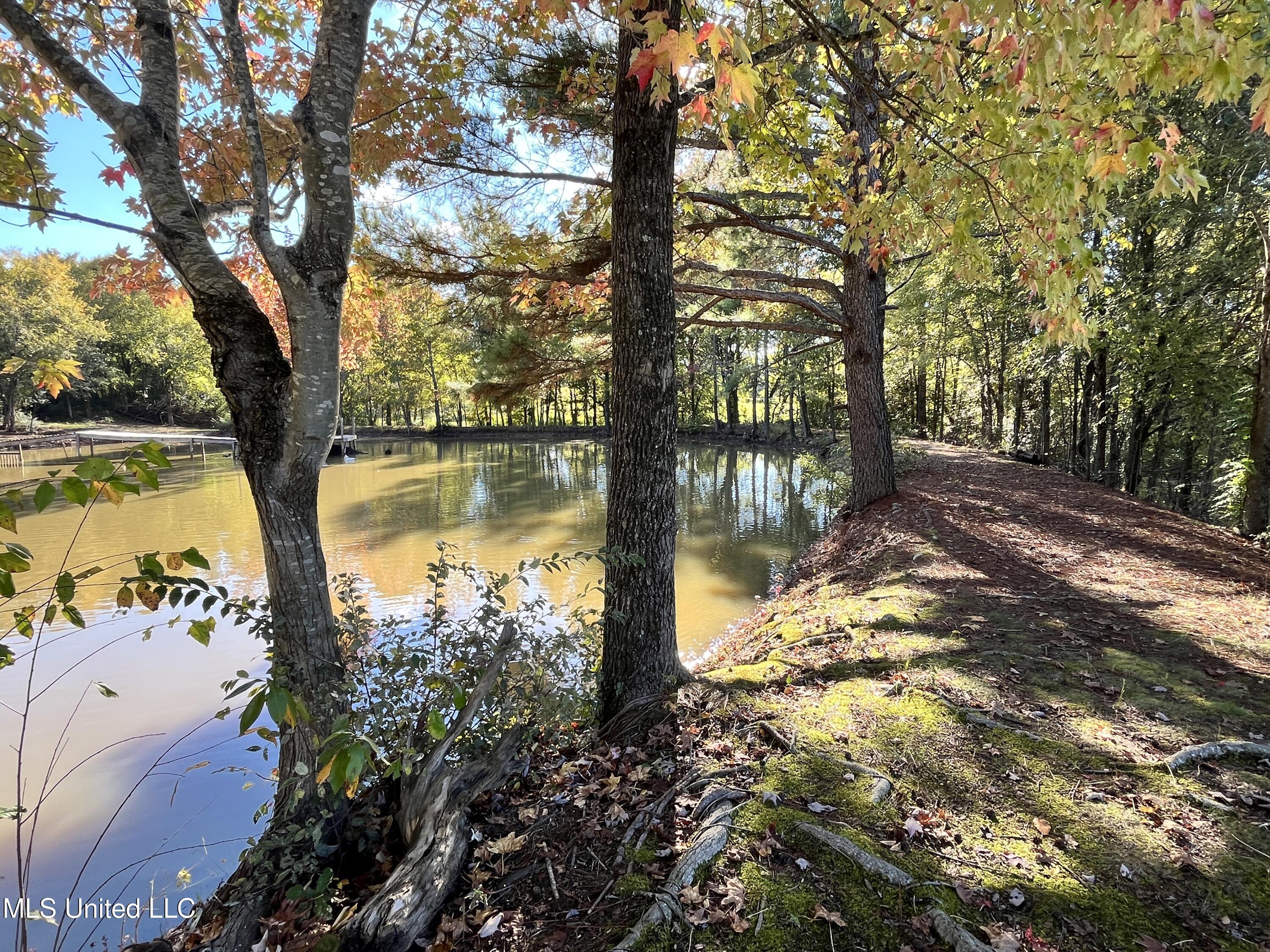 5816 N Rolling Pine Drive Property Photo 60