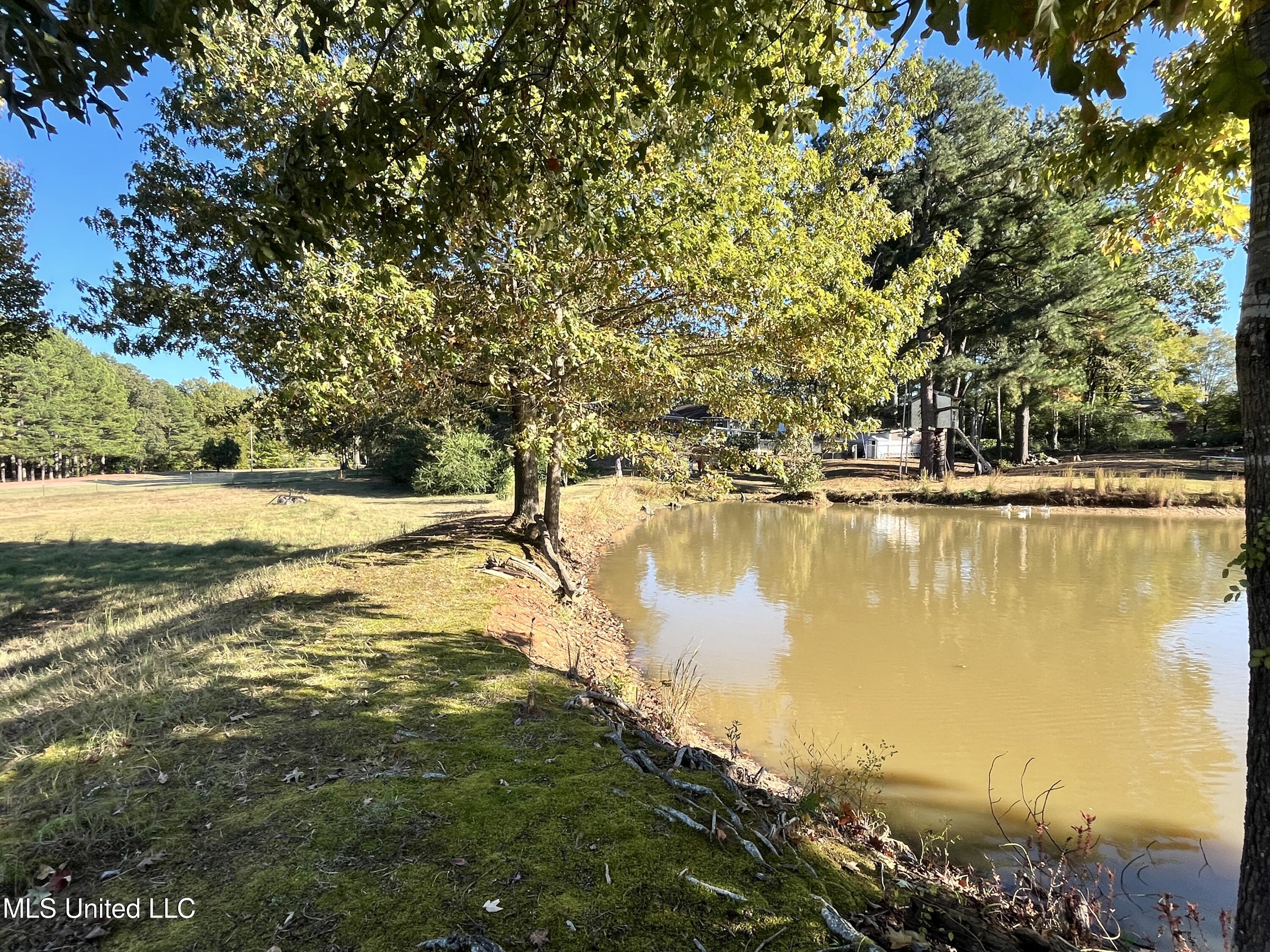5816 N Rolling Pine Drive Property Photo 61