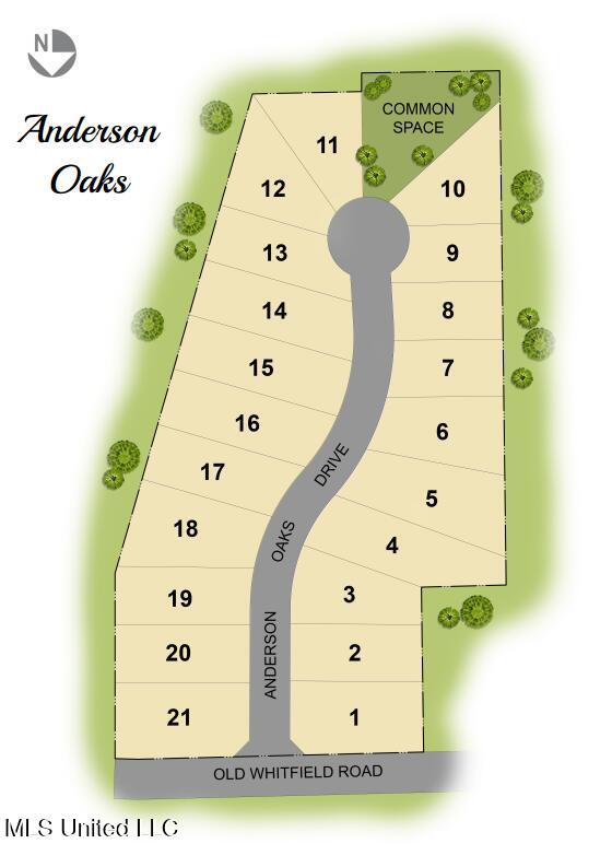 211 Anderson Oaks Drive Property Photo 2