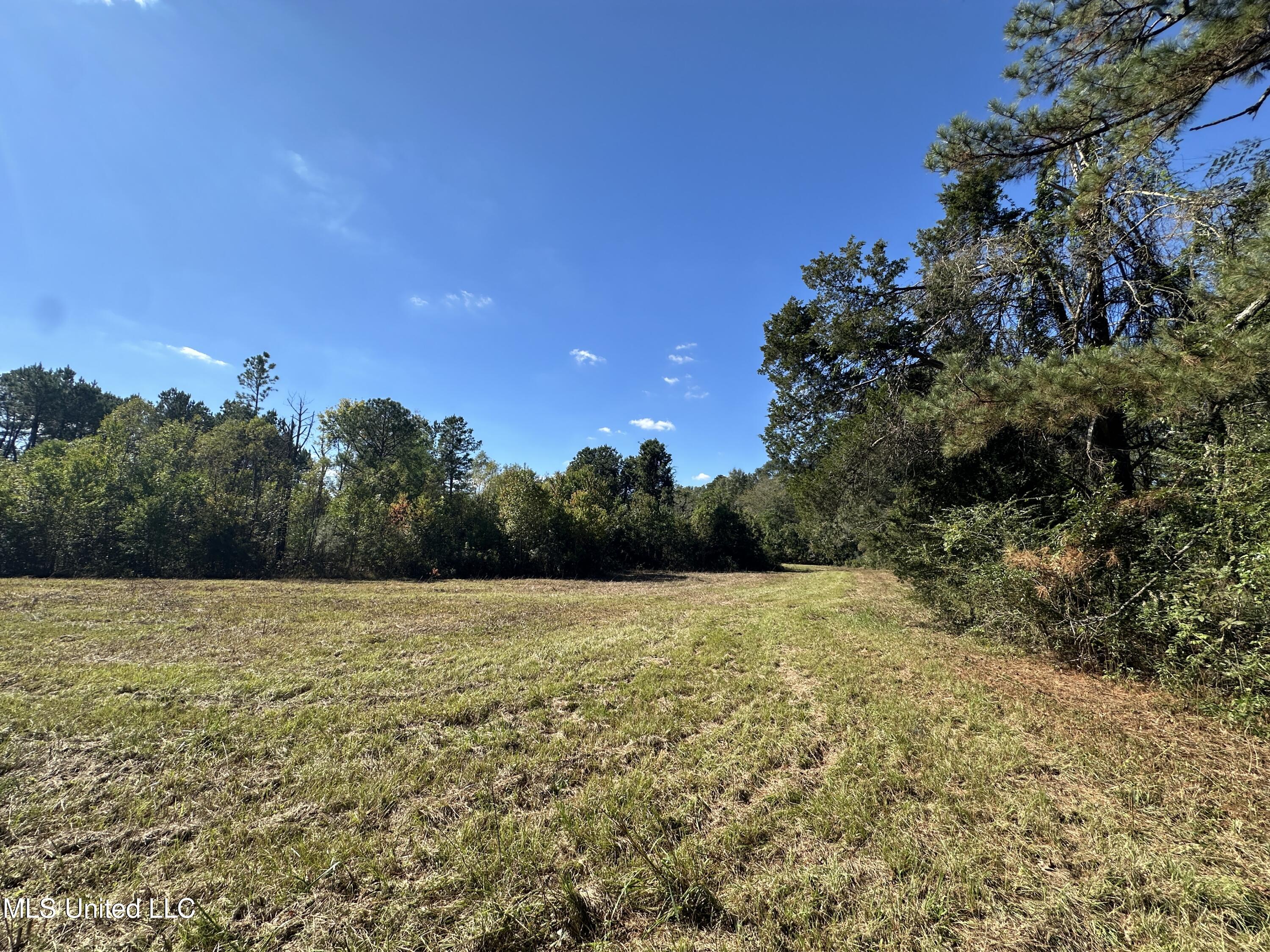 589 Baldwin Road Property Photo 51