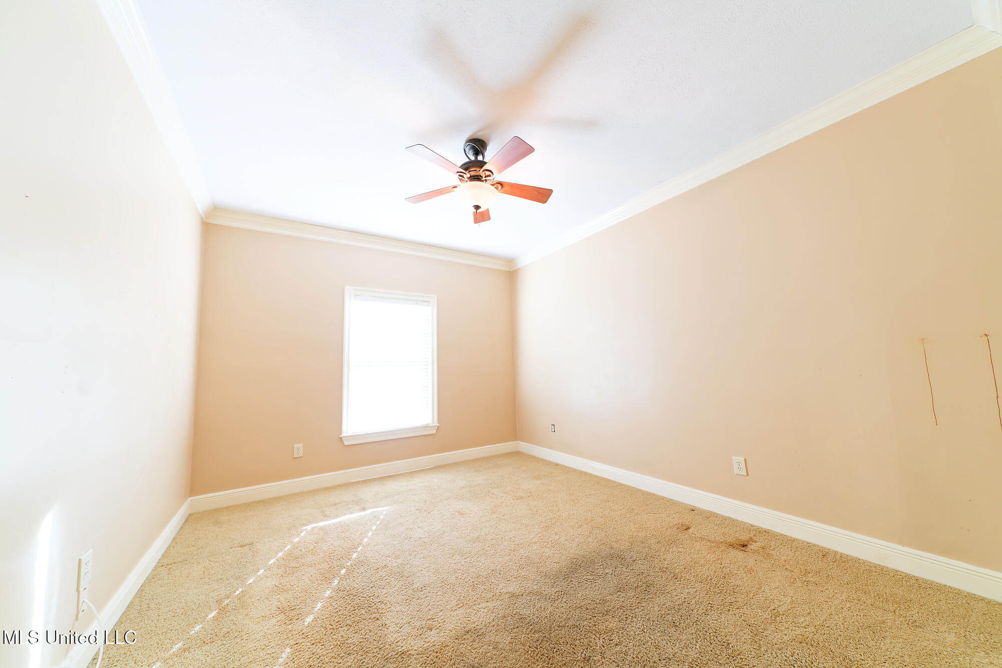 902 Oak Trail Property Photo 20