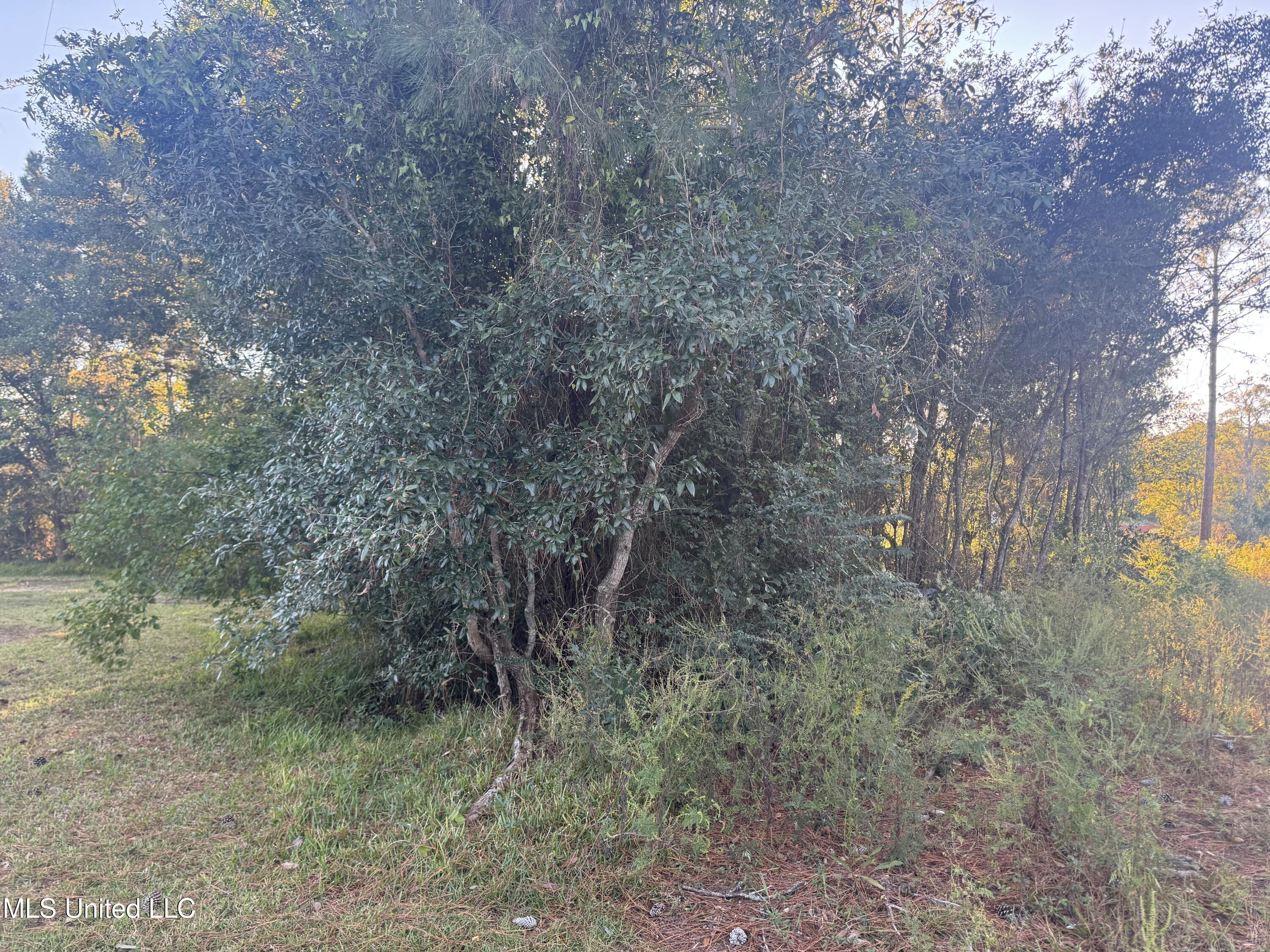 0 Eve Street Property Photo 2