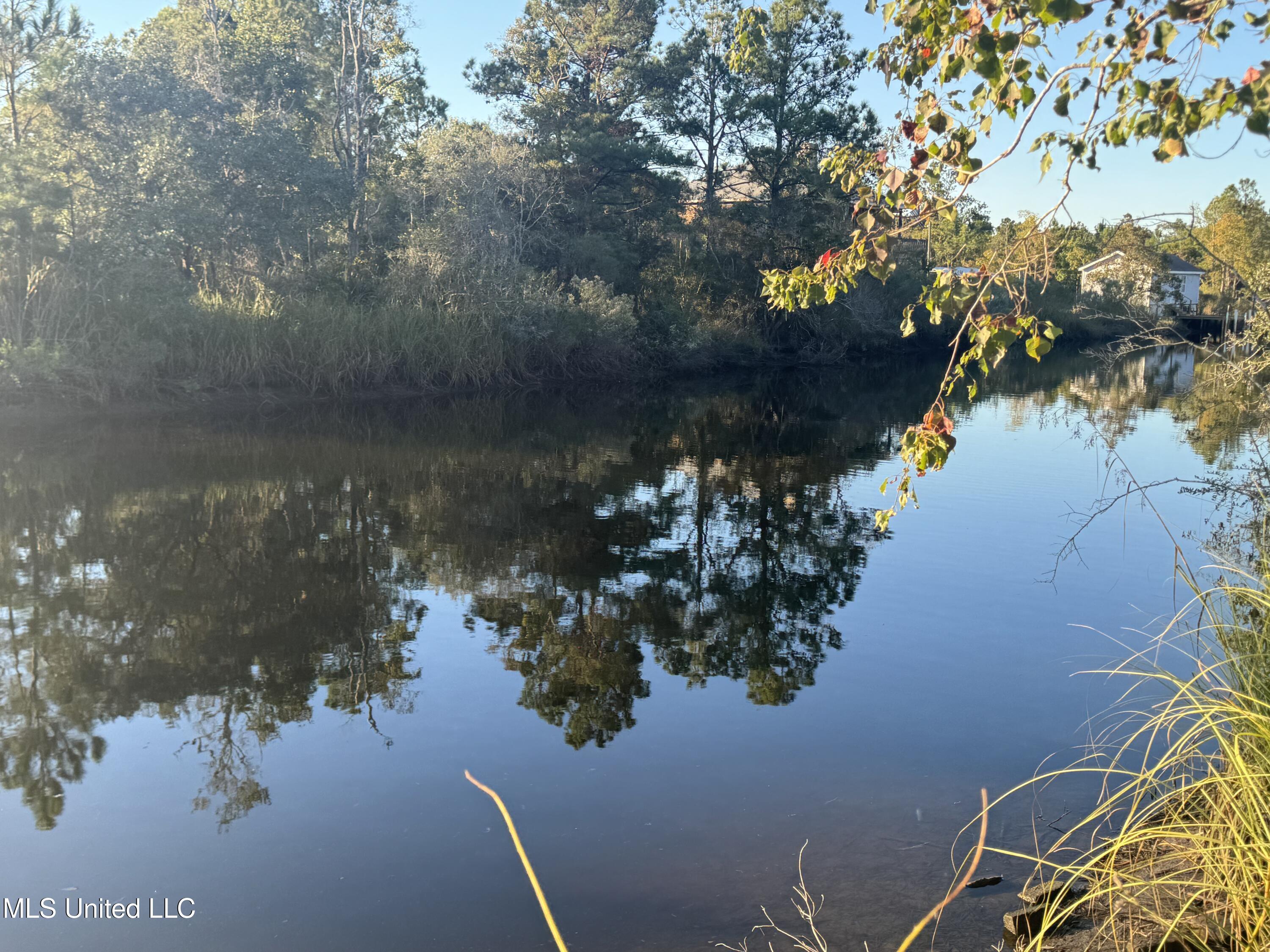 0 Eve Street Property Photo 4