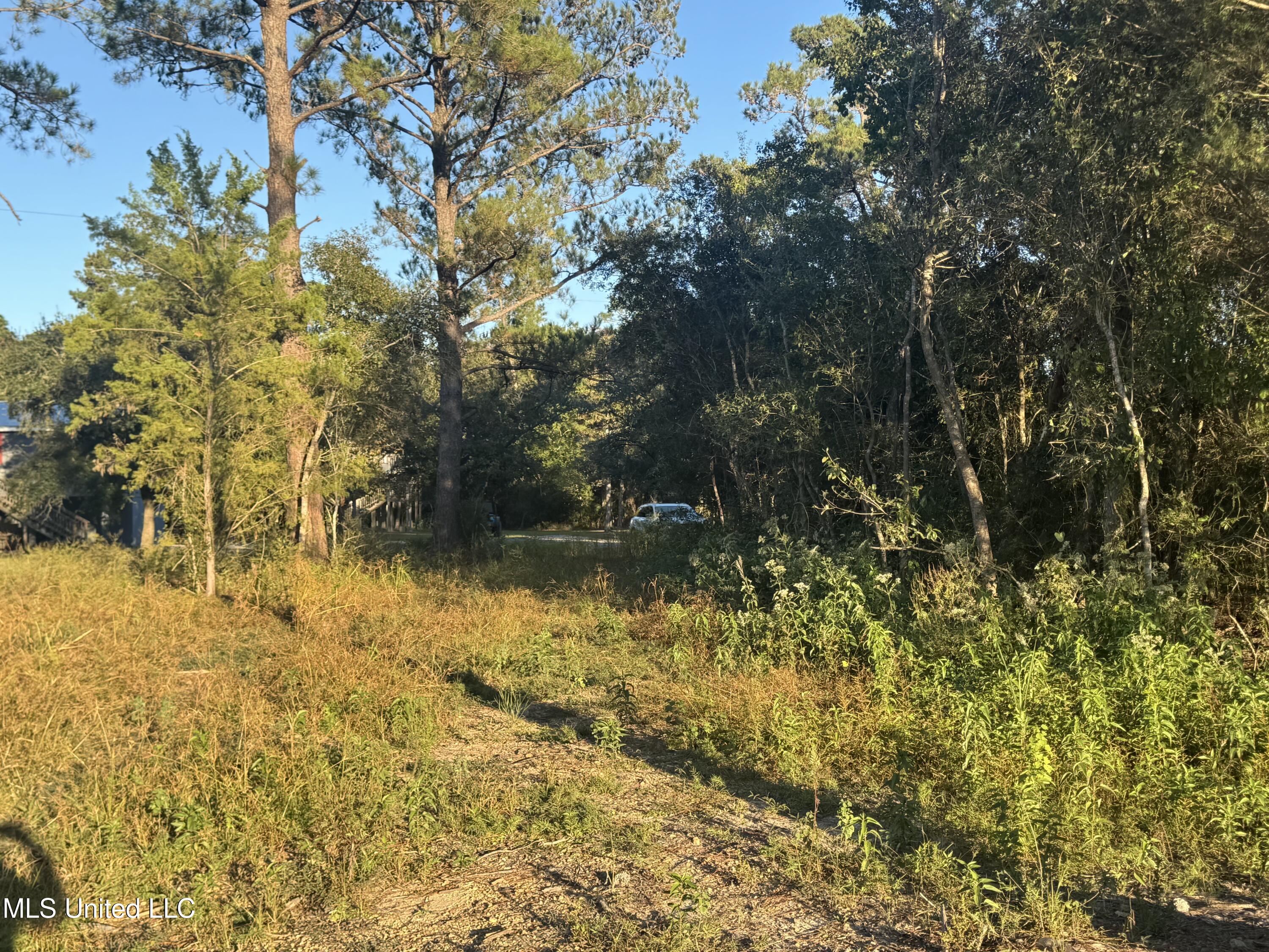 0 Eve Street Property Photo 6