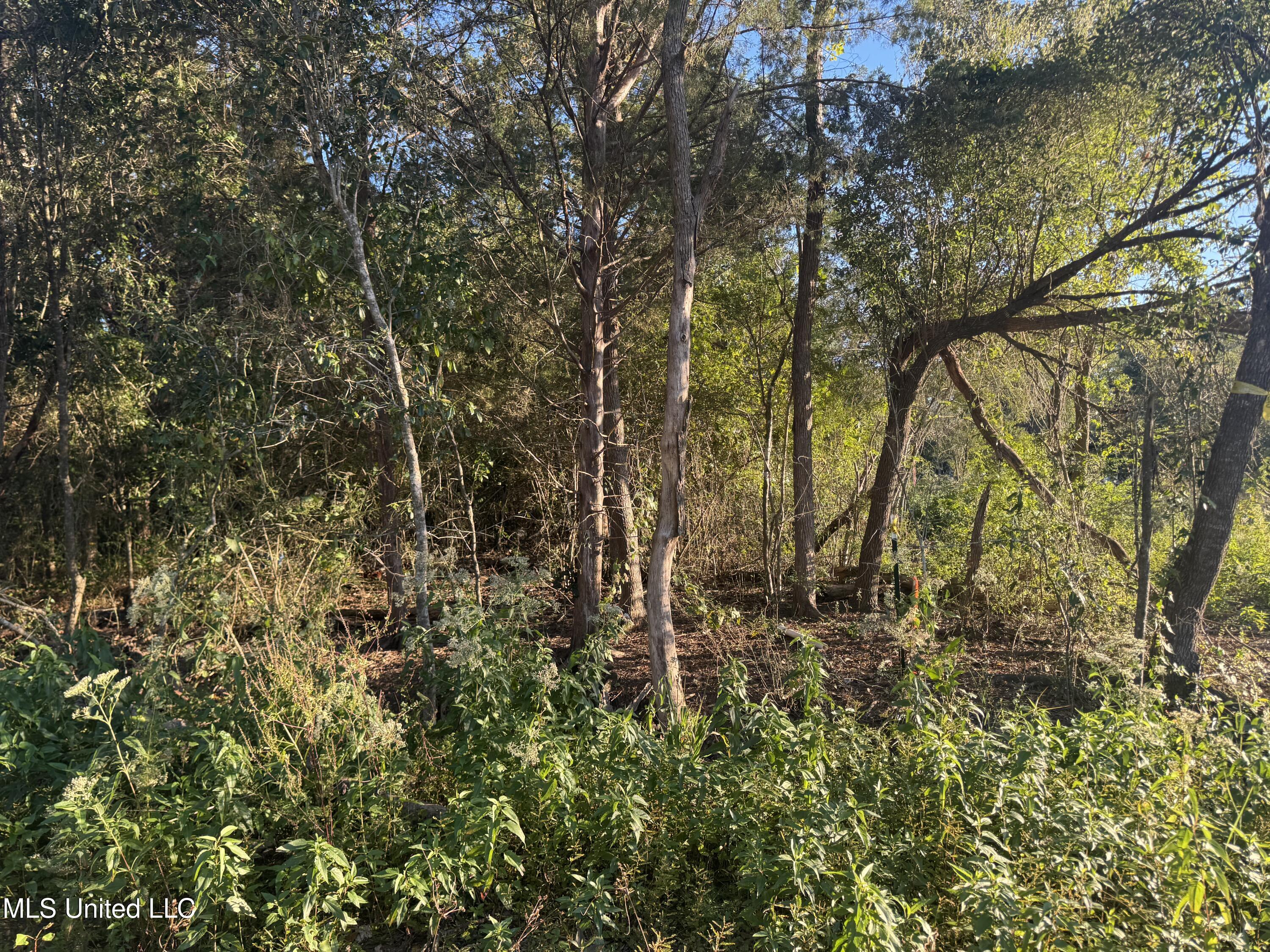 0 Eve Street Property Photo 7