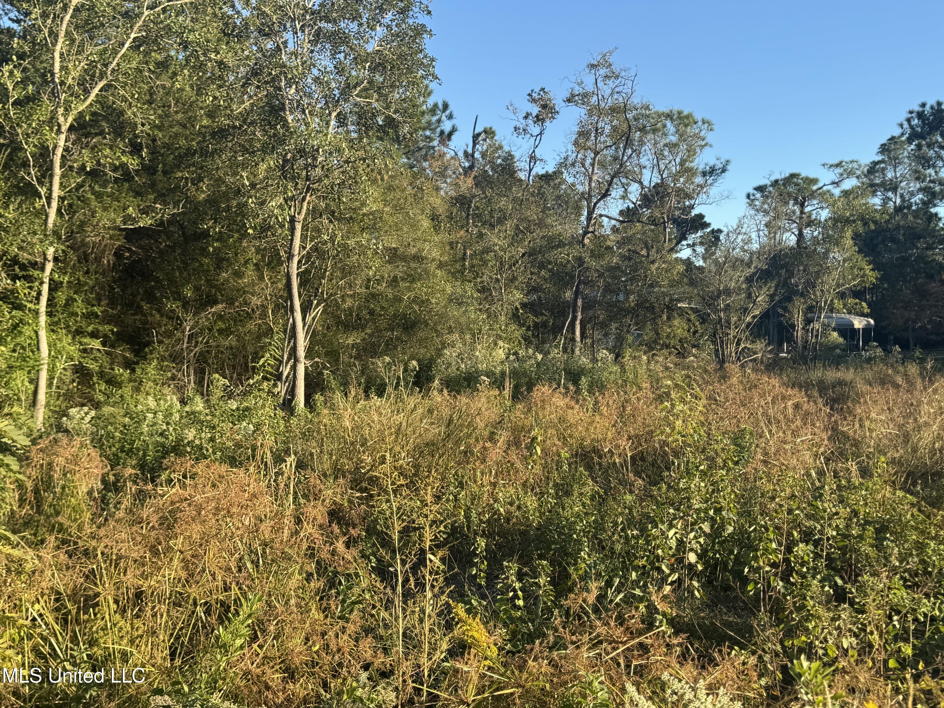 0 Eve Street Property Photo 8