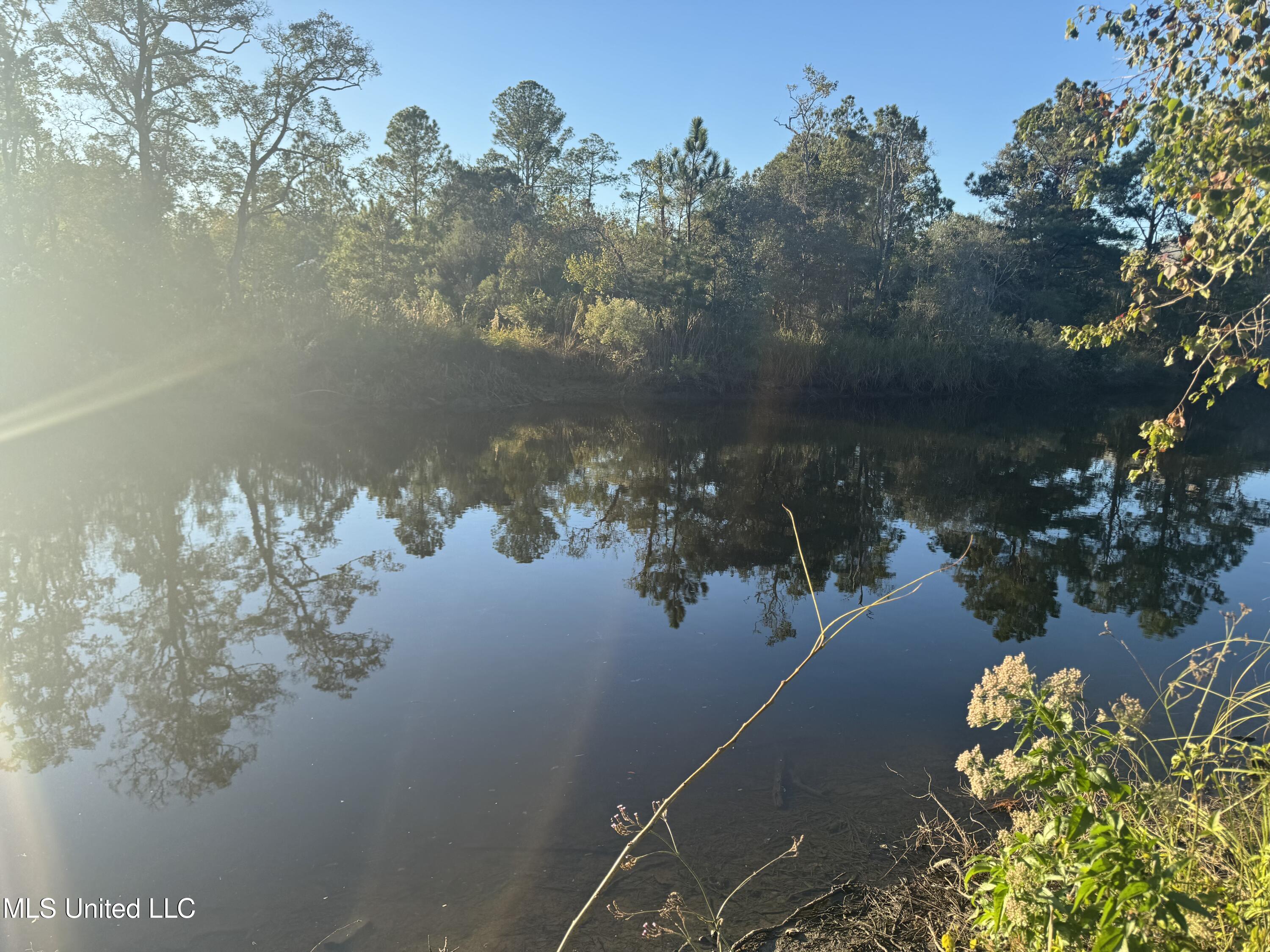 0 Eve Street Property Photo 11