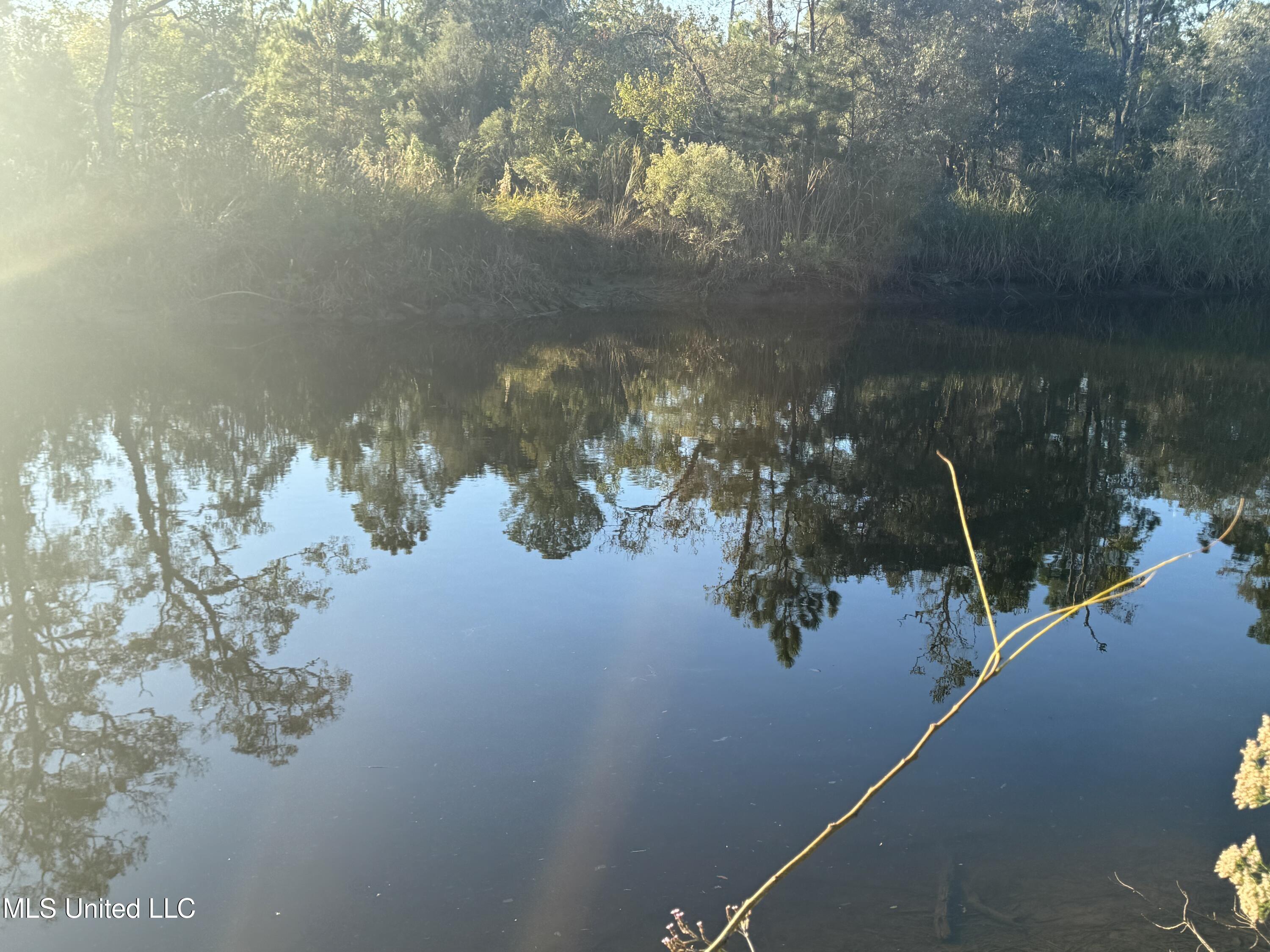 0 Eve Street Property Photo 14