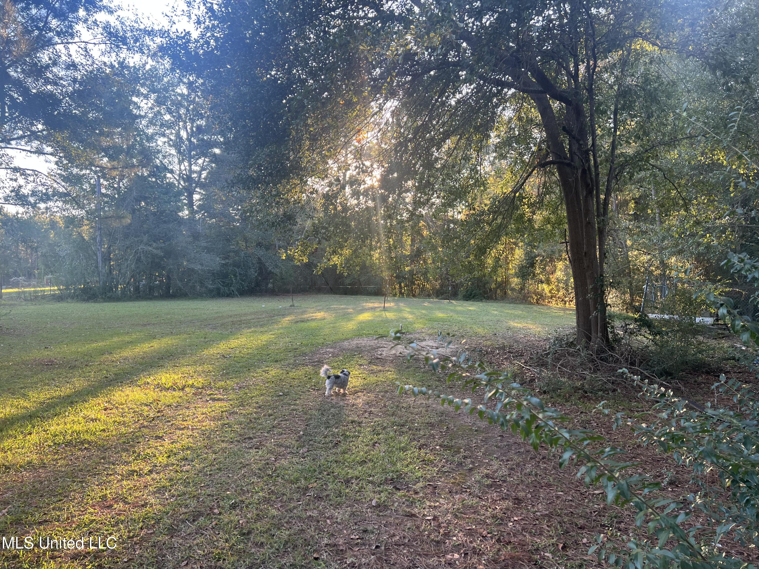 197 Halbert Thames Road Property Photo 4