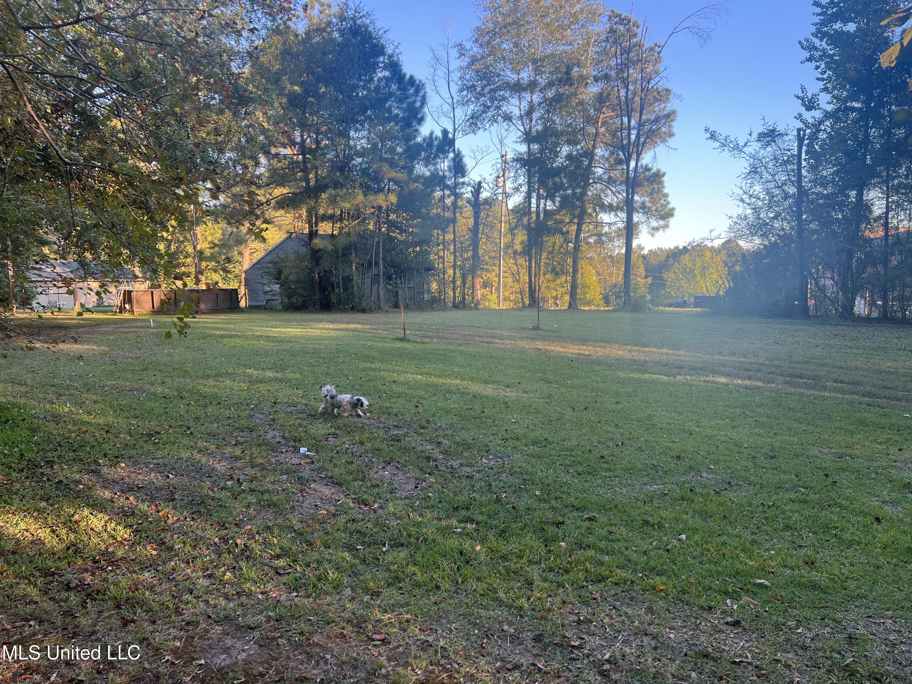 197 Halbert Thames Road Property Photo 5