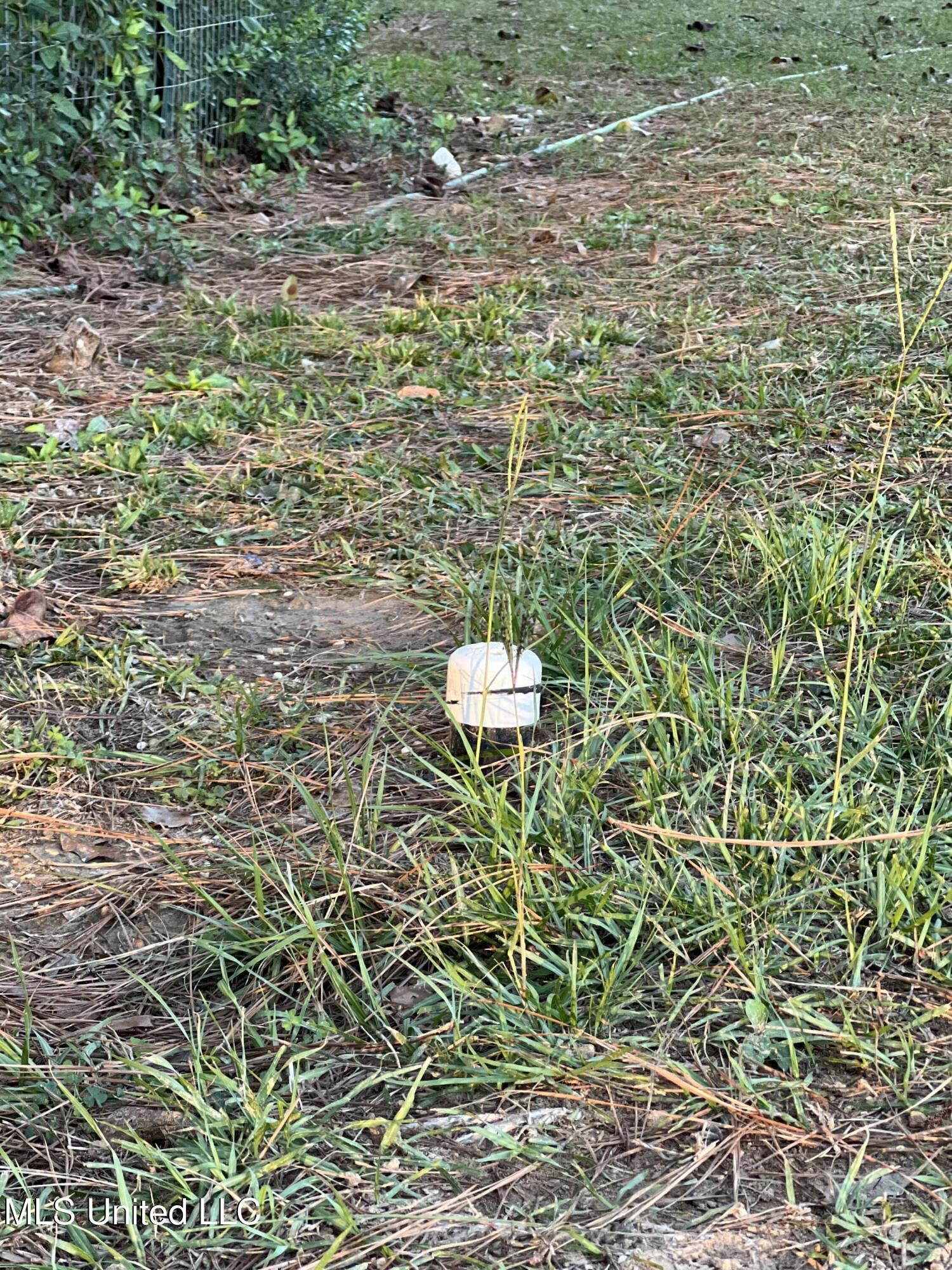 197 Halbert Thames Road Property Photo 12