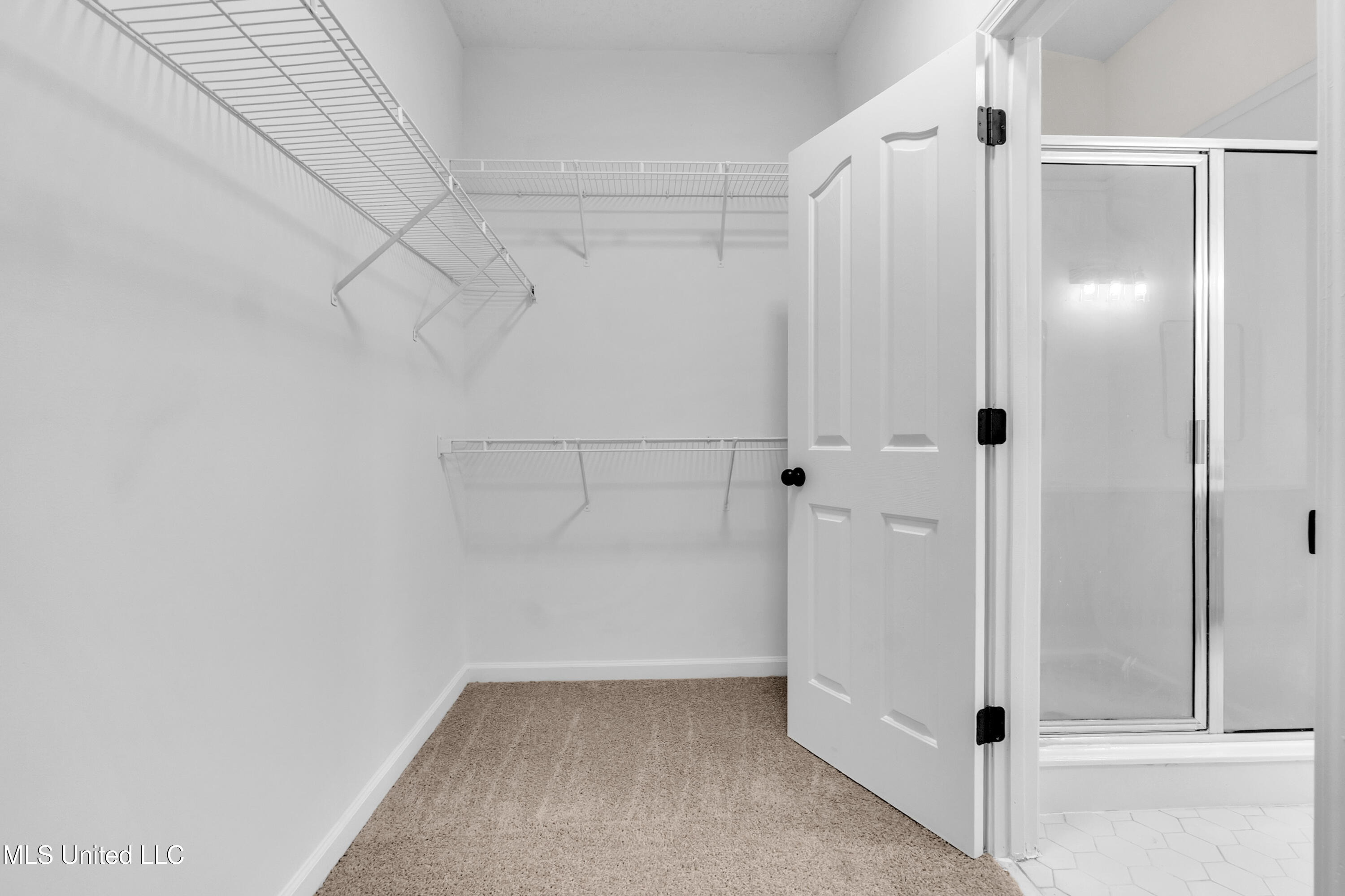 959 Scotch Pine Cove Property Photo 19