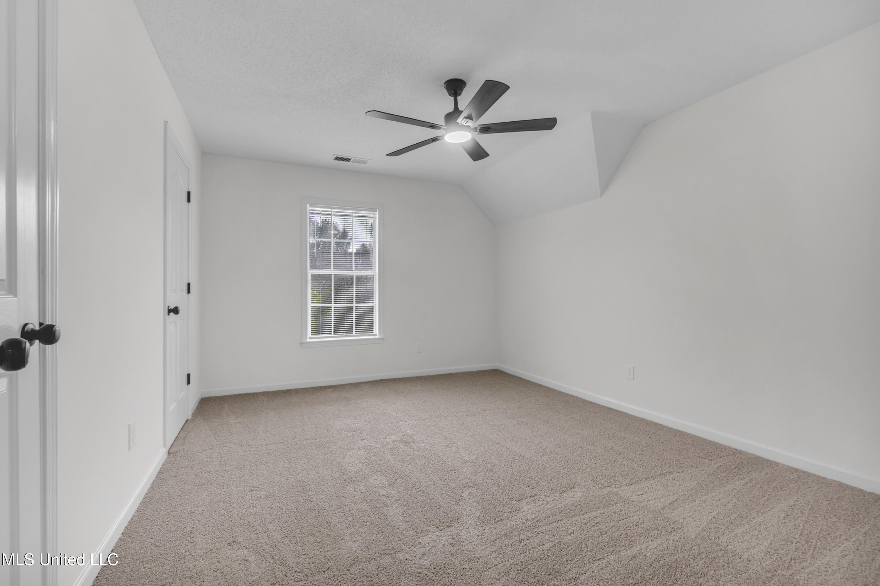 959 Scotch Pine Cove Property Photo 23