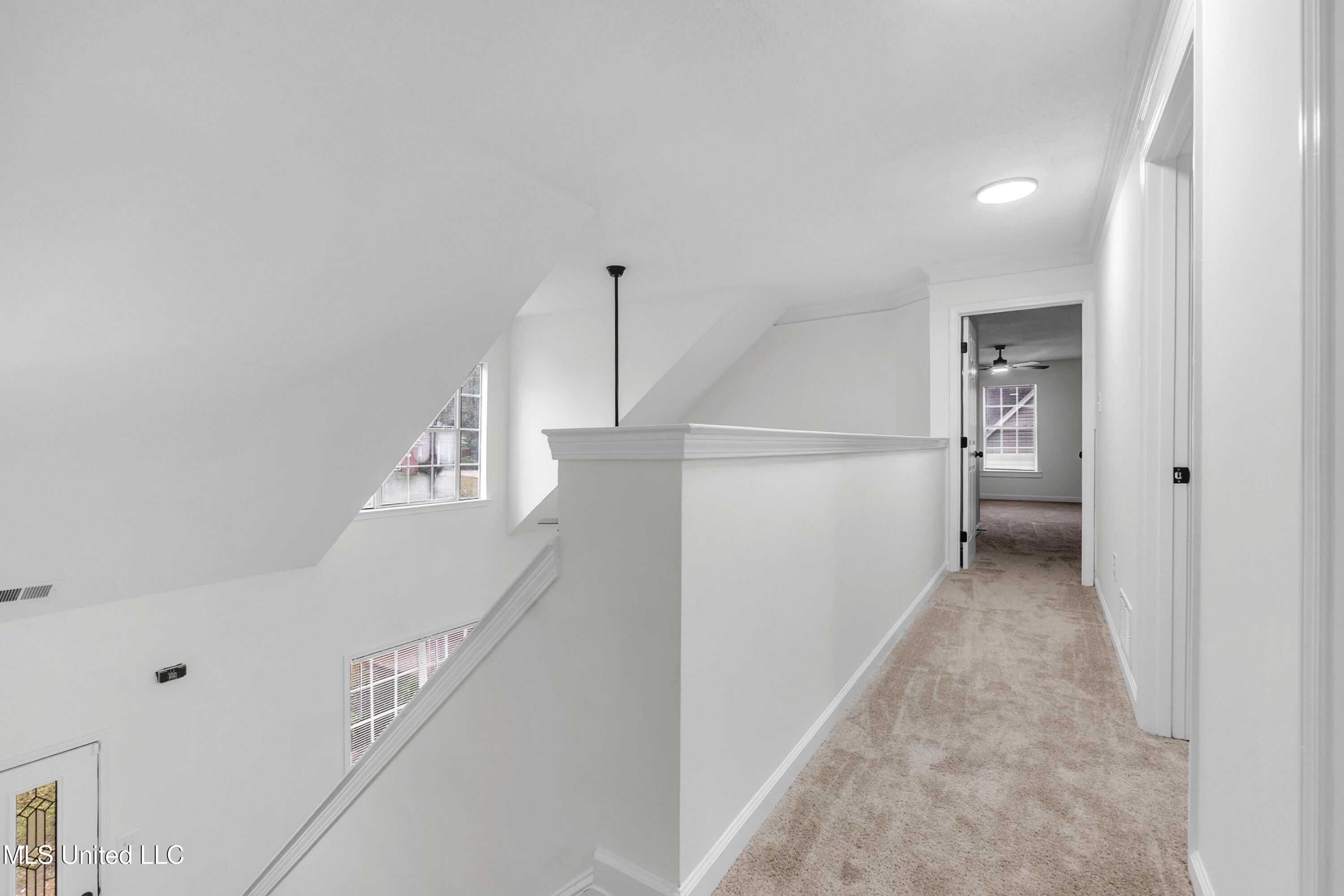 959 Scotch Pine Cove Property Photo 24