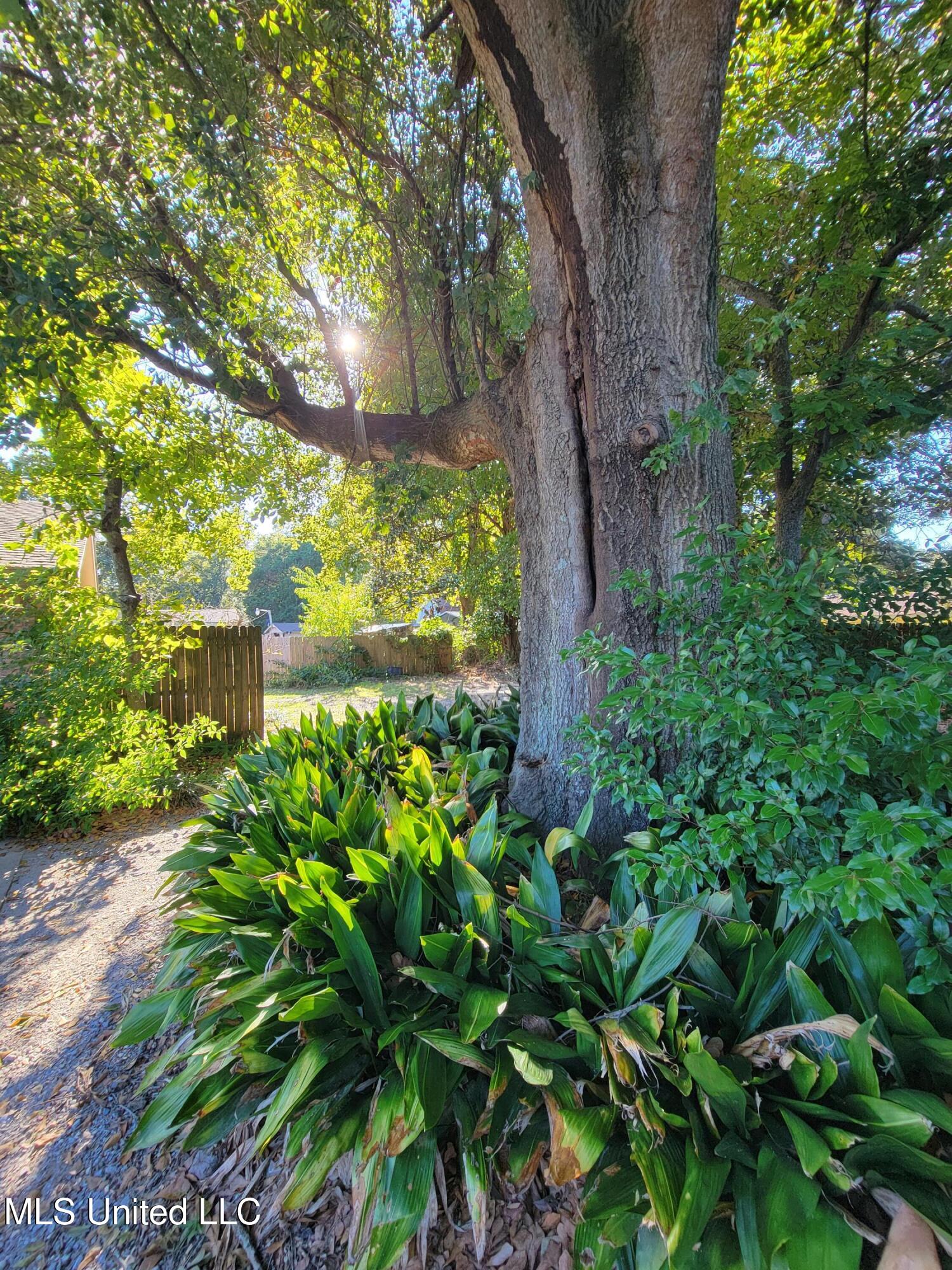 3954 River Pine Drive Property Photo 36