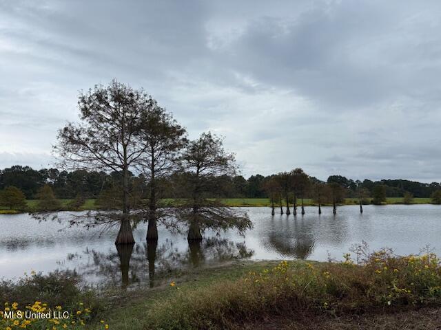 2100 Harperville Road Road Property Photo 2