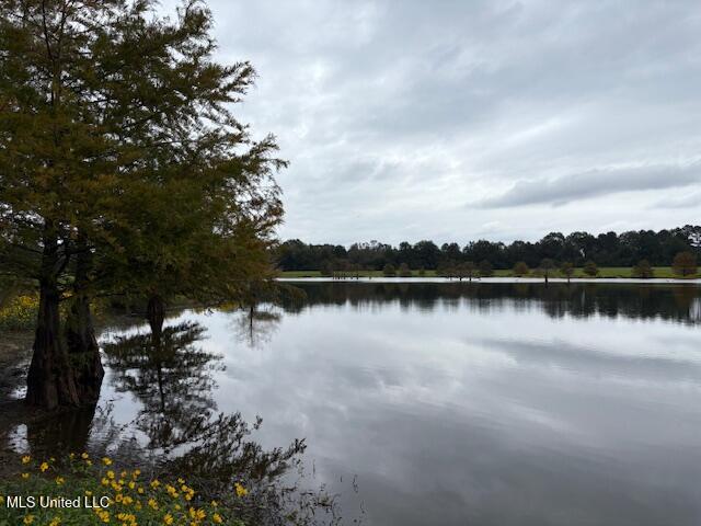 2100 Harperville Road Road Property Photo 3