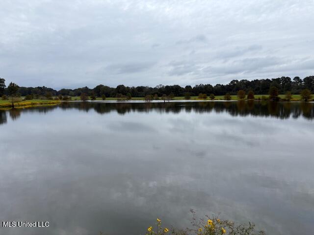 2100 Harperville Road Road Property Photo 24