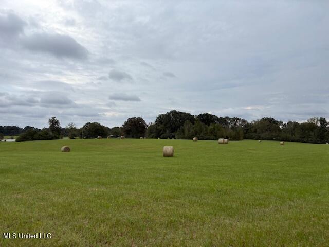 2100 Harperville Road Road Property Photo 28