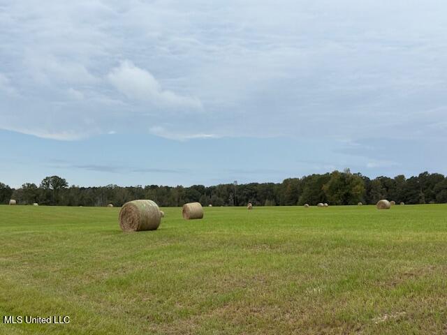 2100 Harperville Road Road Property Photo 29