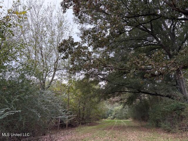 2100 Harperville Road Road Property Photo 31