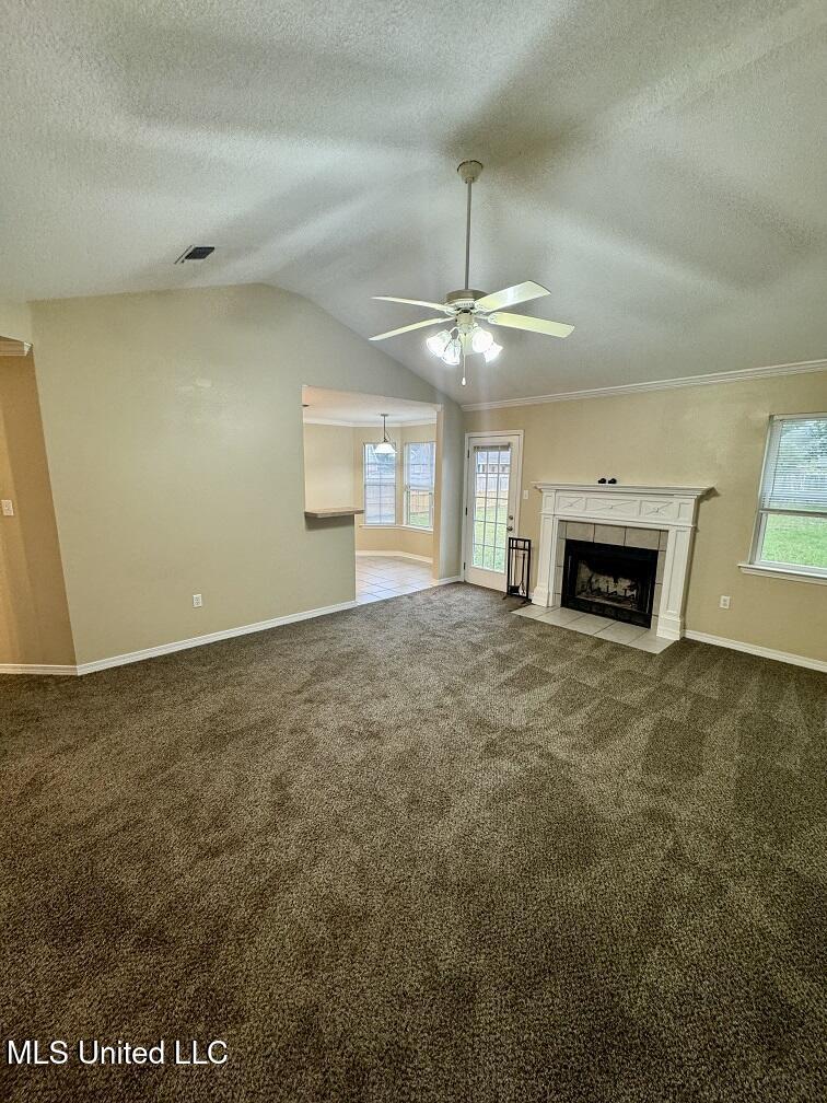 8133 Rue Hollifield Property Photo 4