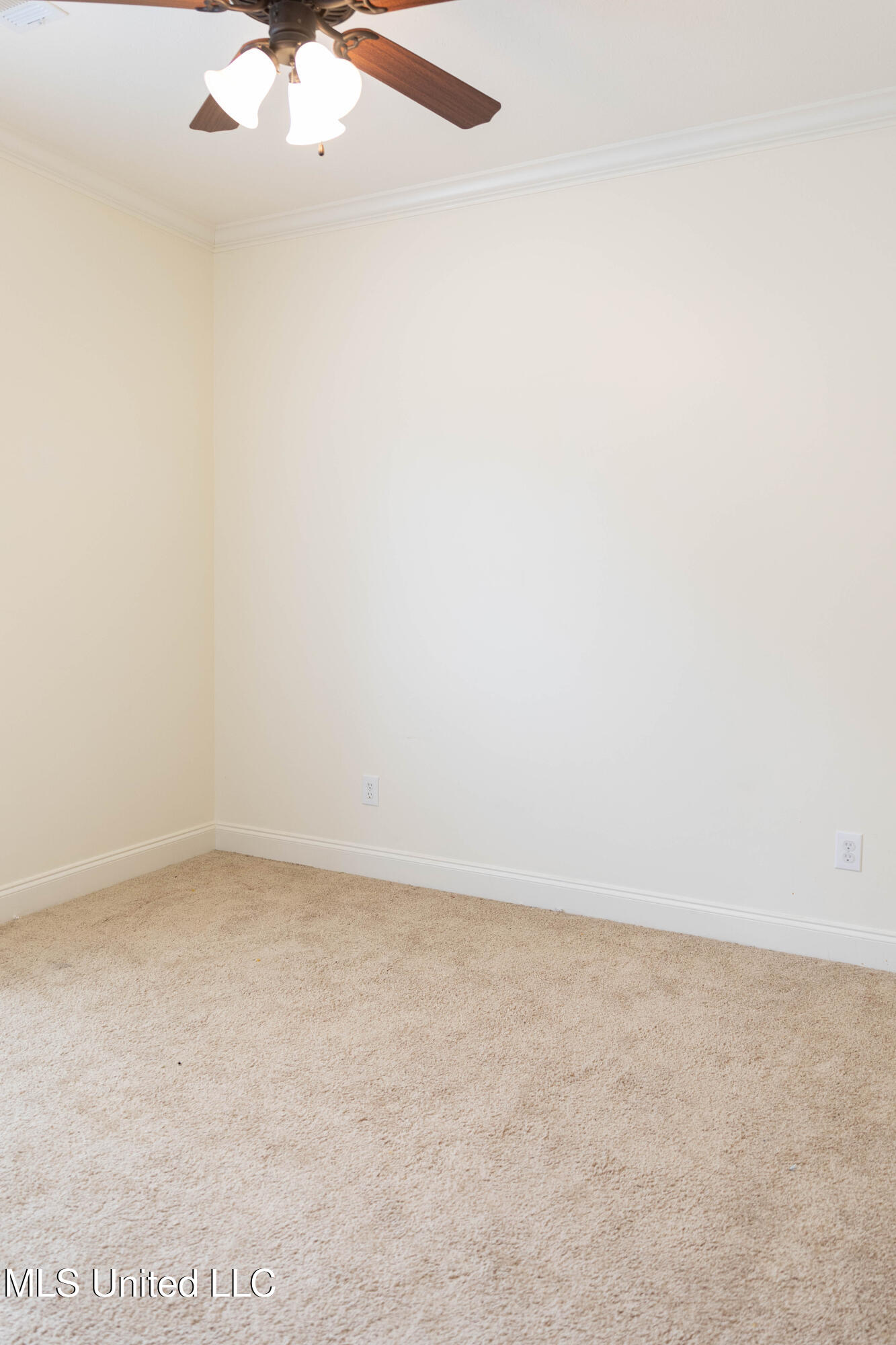 116 Essen Lane Property Photo 36