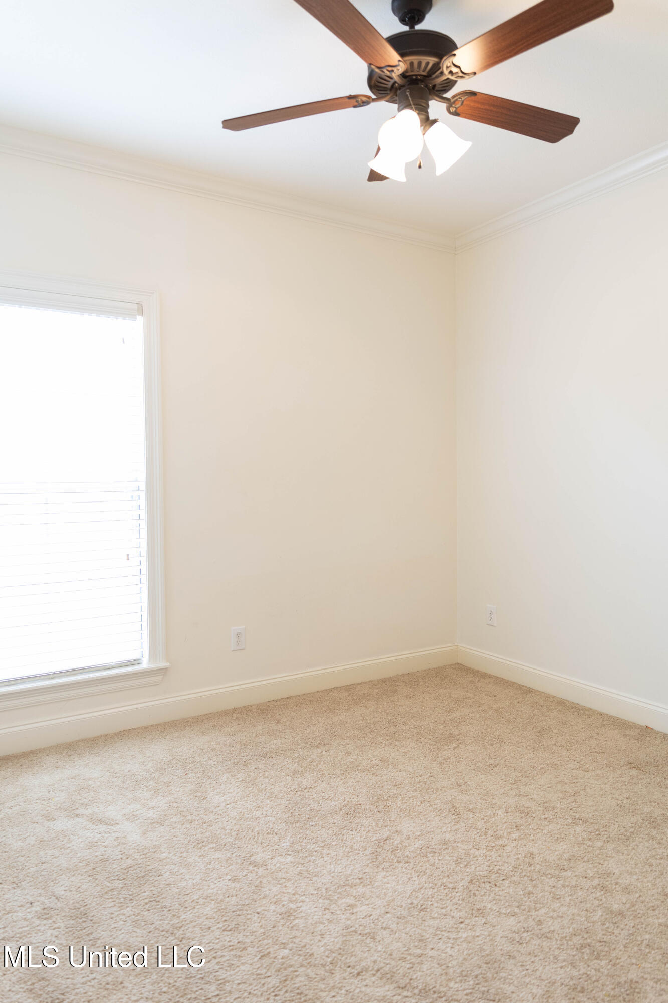 116 Essen Lane Property Photo 38