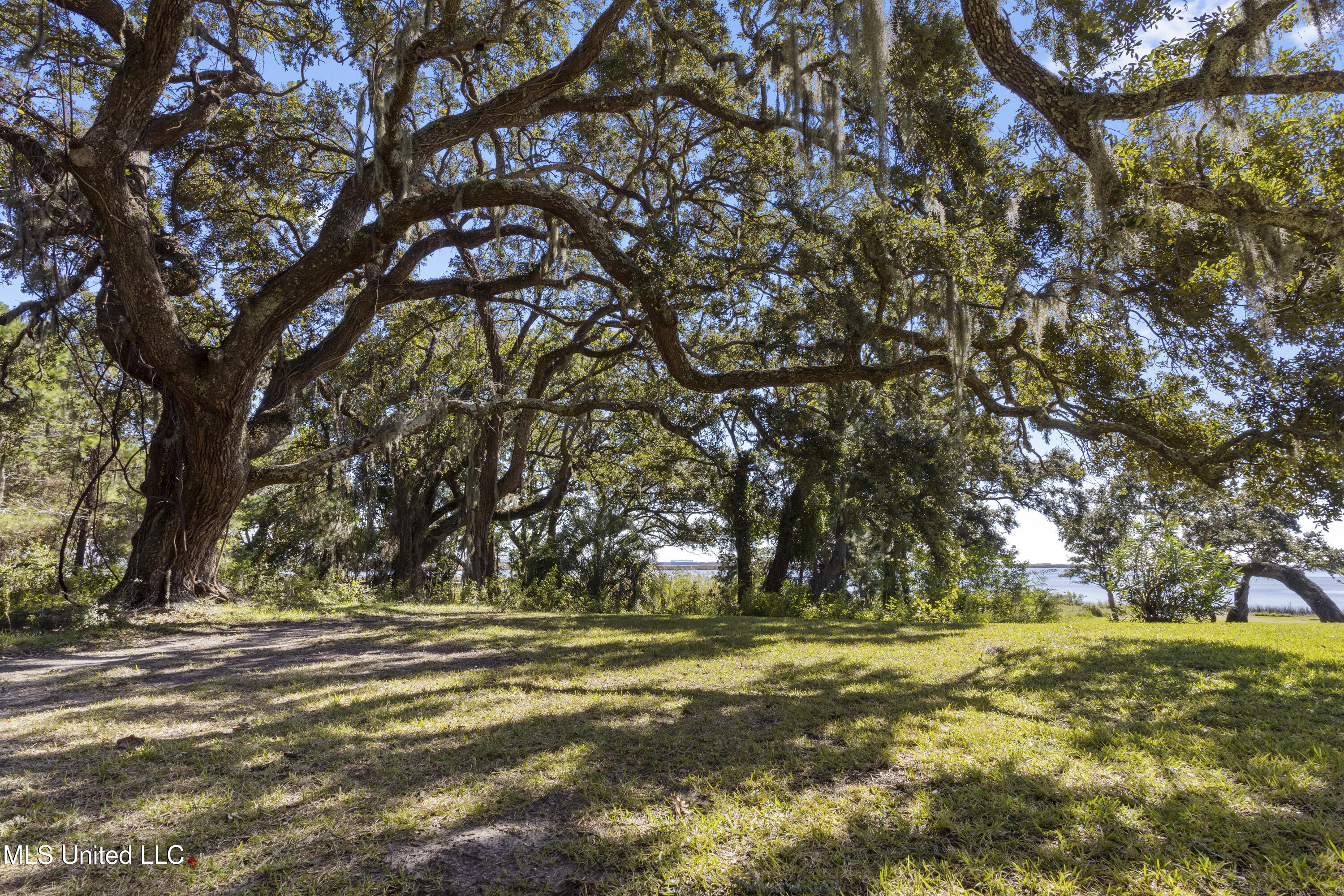 308 Italian Isle Road Property Photo 130