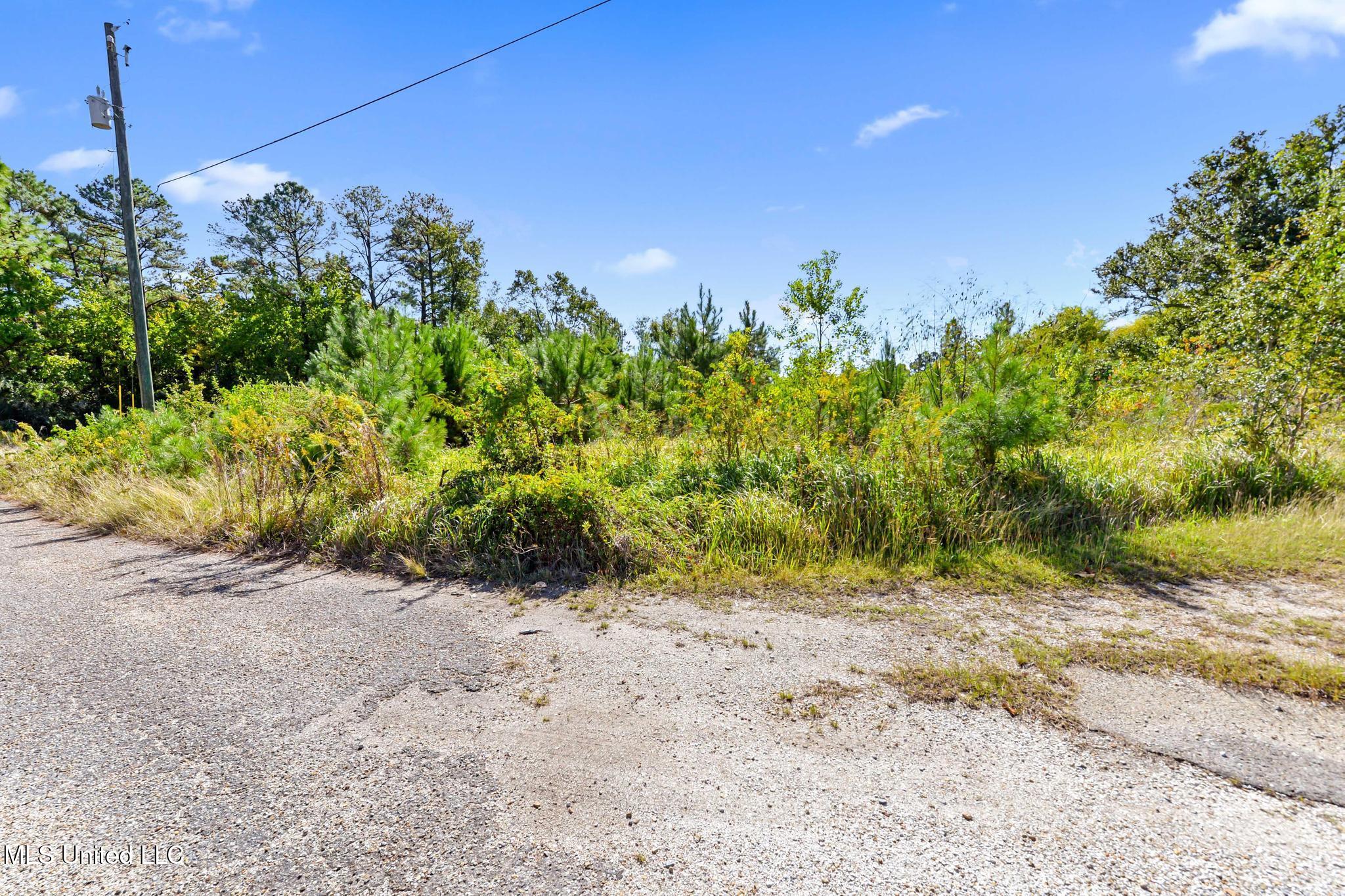 250-252 Hwy 90 Property Photo 11
