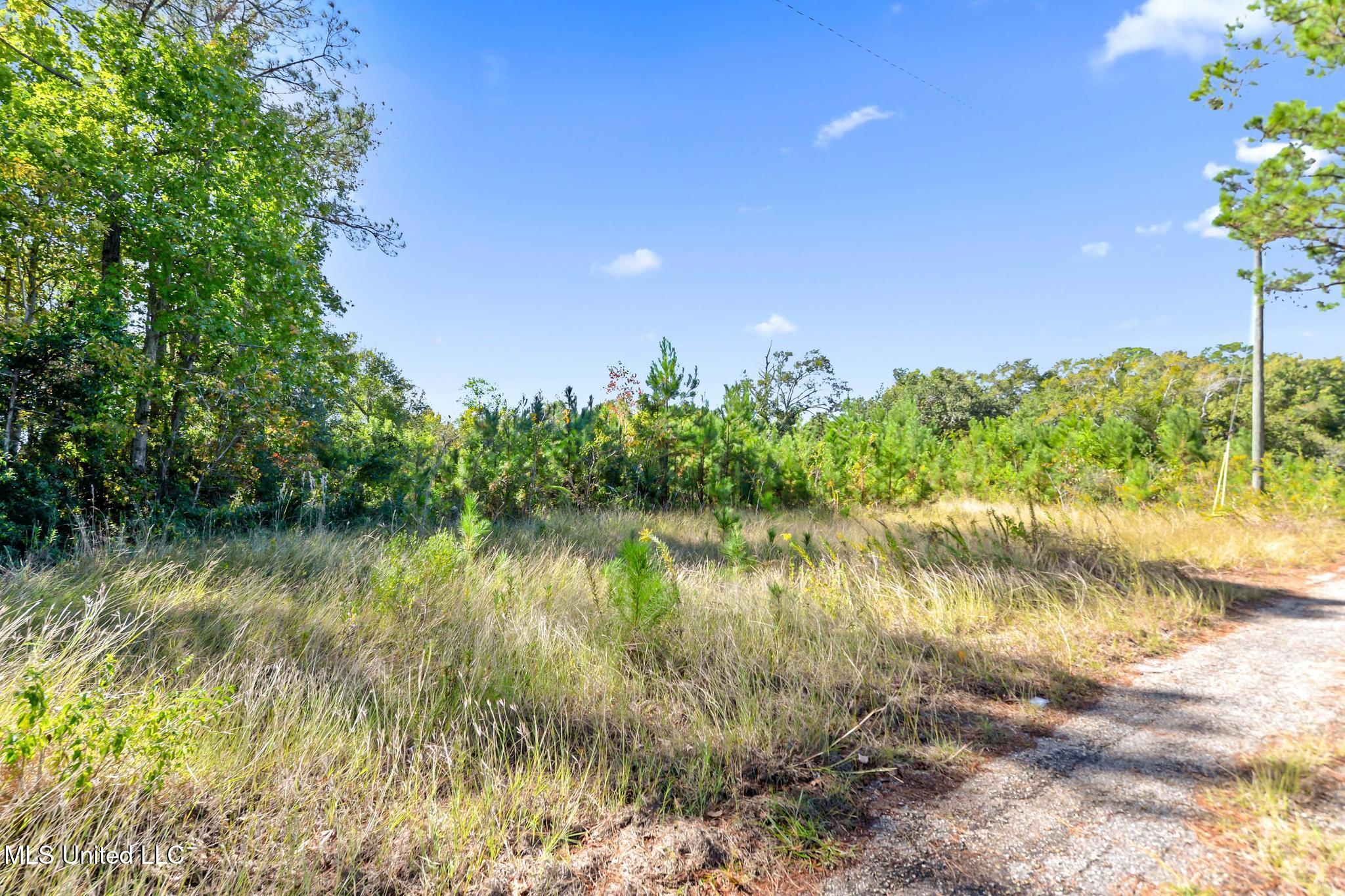 250-252 Hwy 90 Property Photo 12