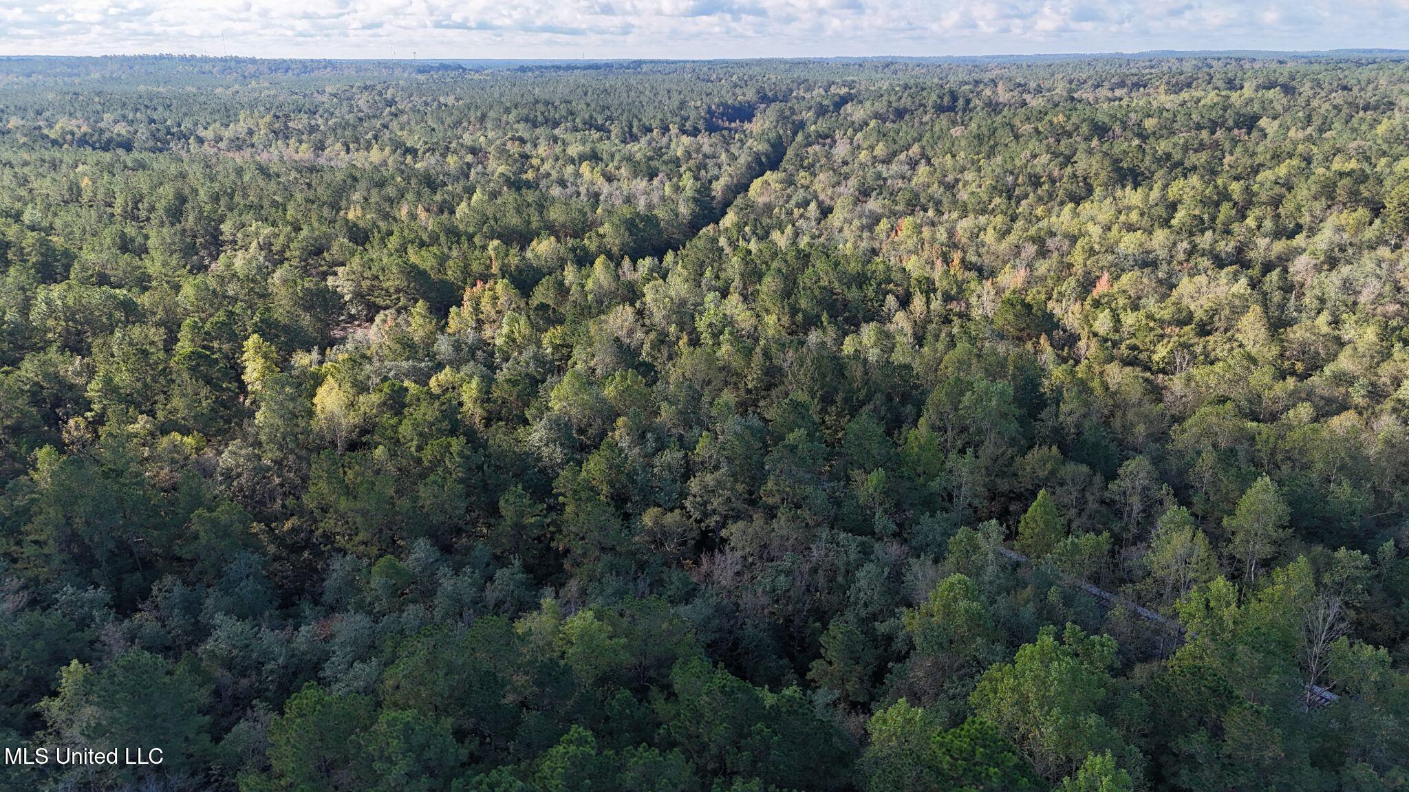 Lee Avenue Property Photo 1