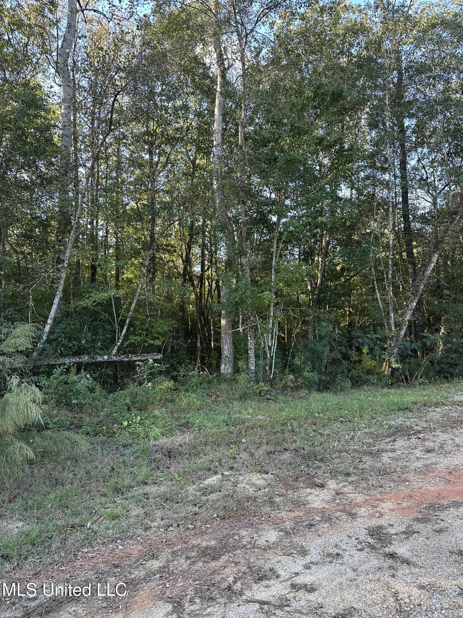 Lee Avenue Property Photo 9
