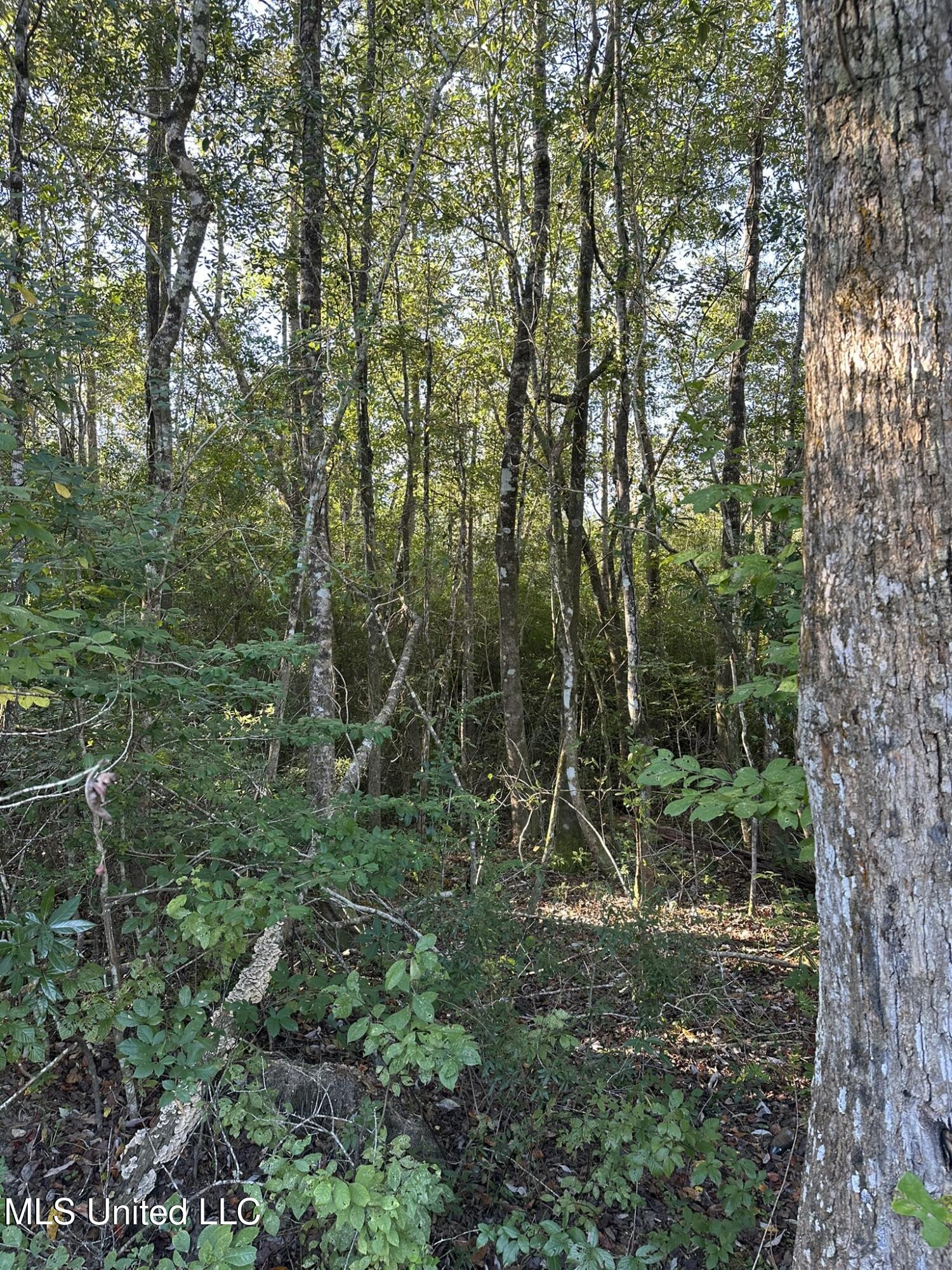 Lee Avenue Property Photo 10