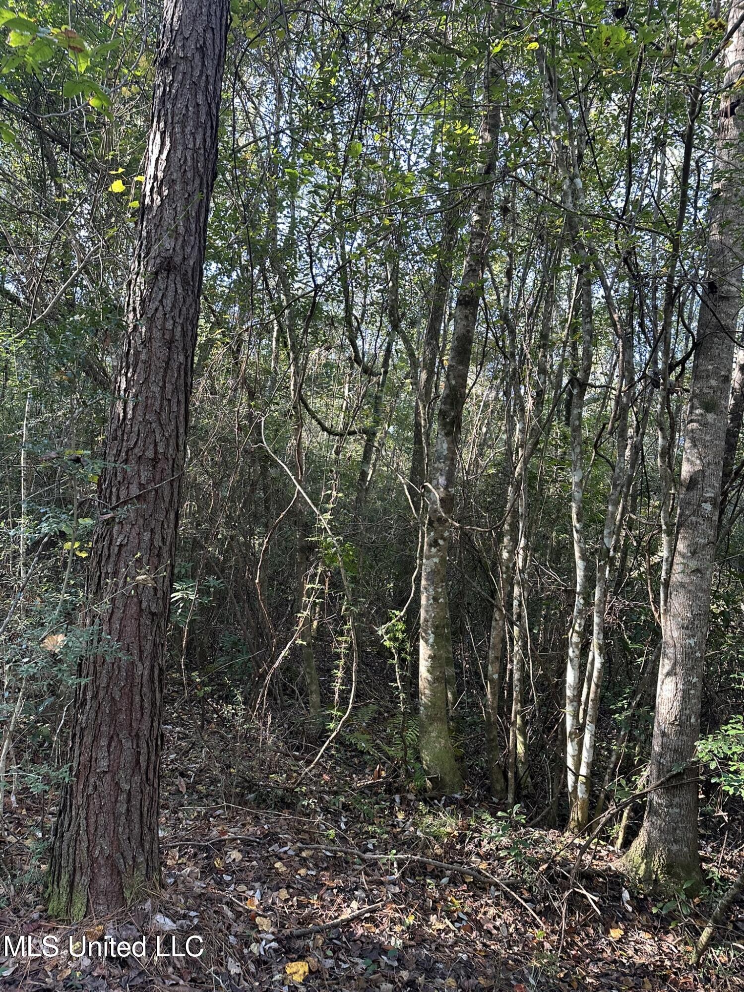 Lee Avenue Property Photo 12