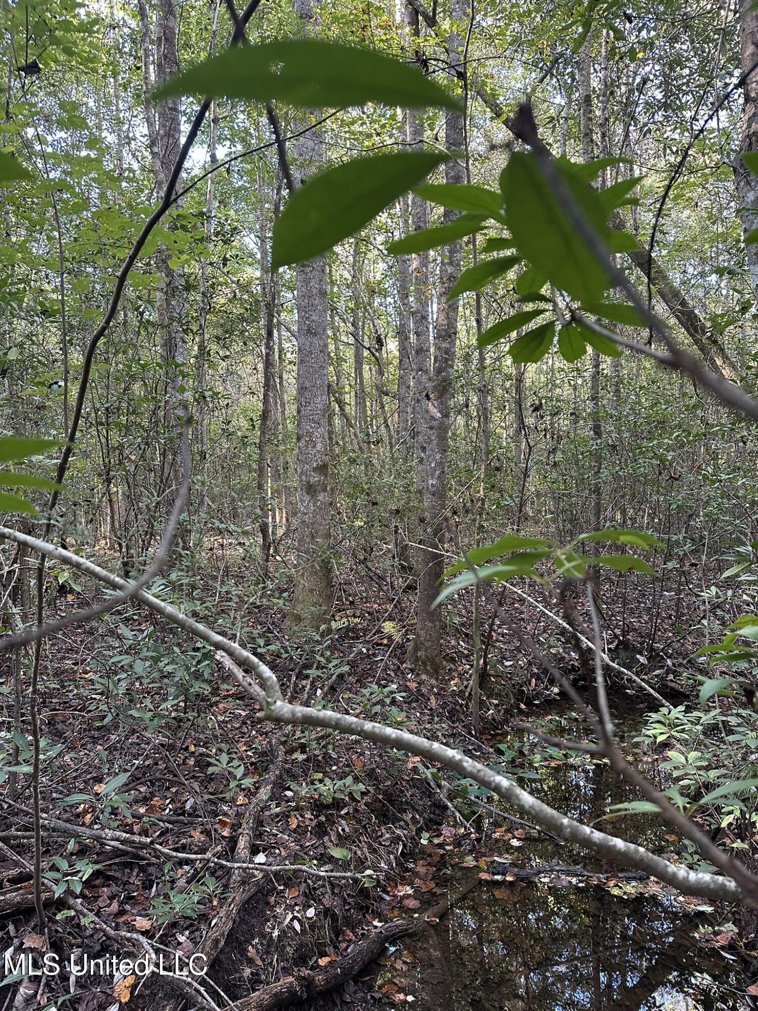 Lee Avenue Property Photo 16