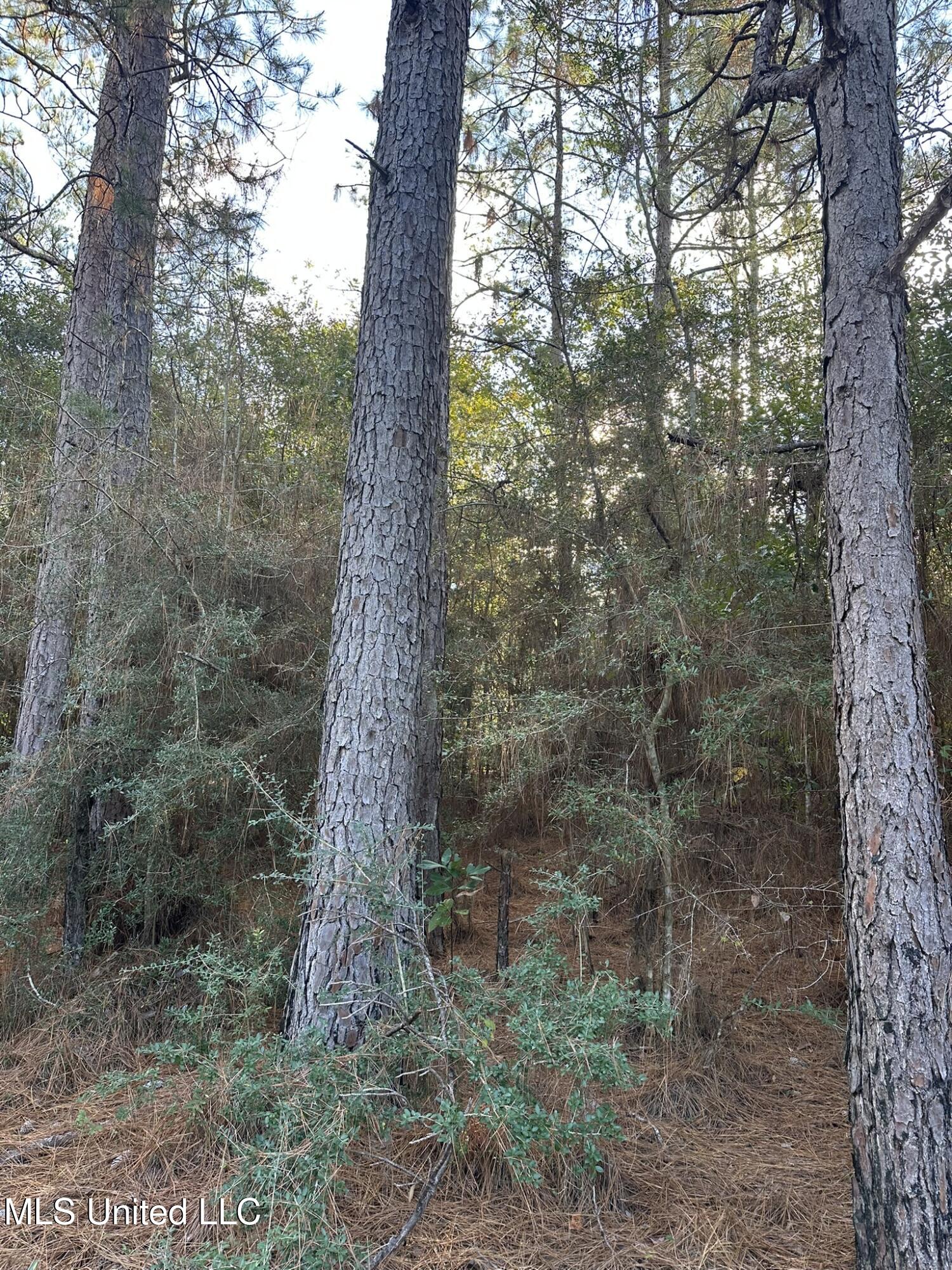 Lee Avenue Property Photo 19